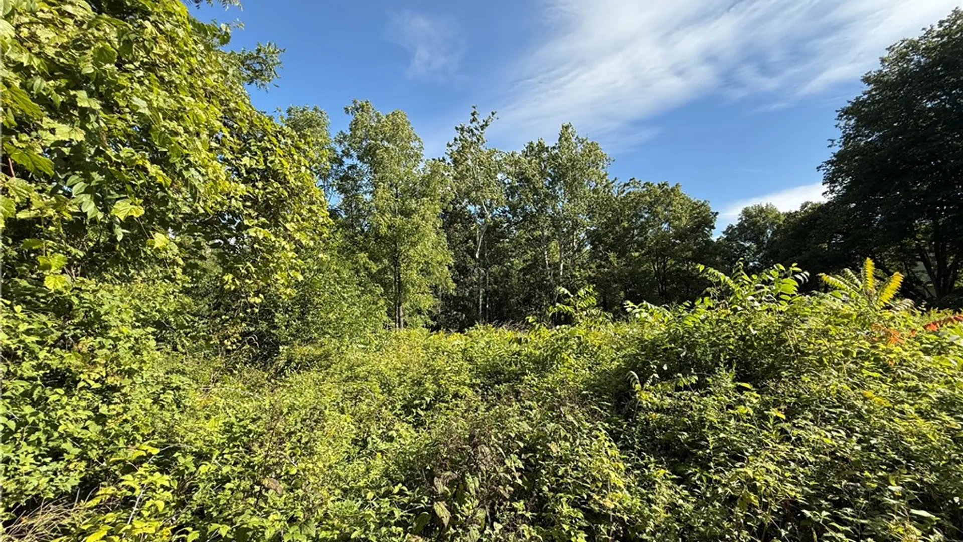 Property at Rt-90, Genoa, NY 13071 12