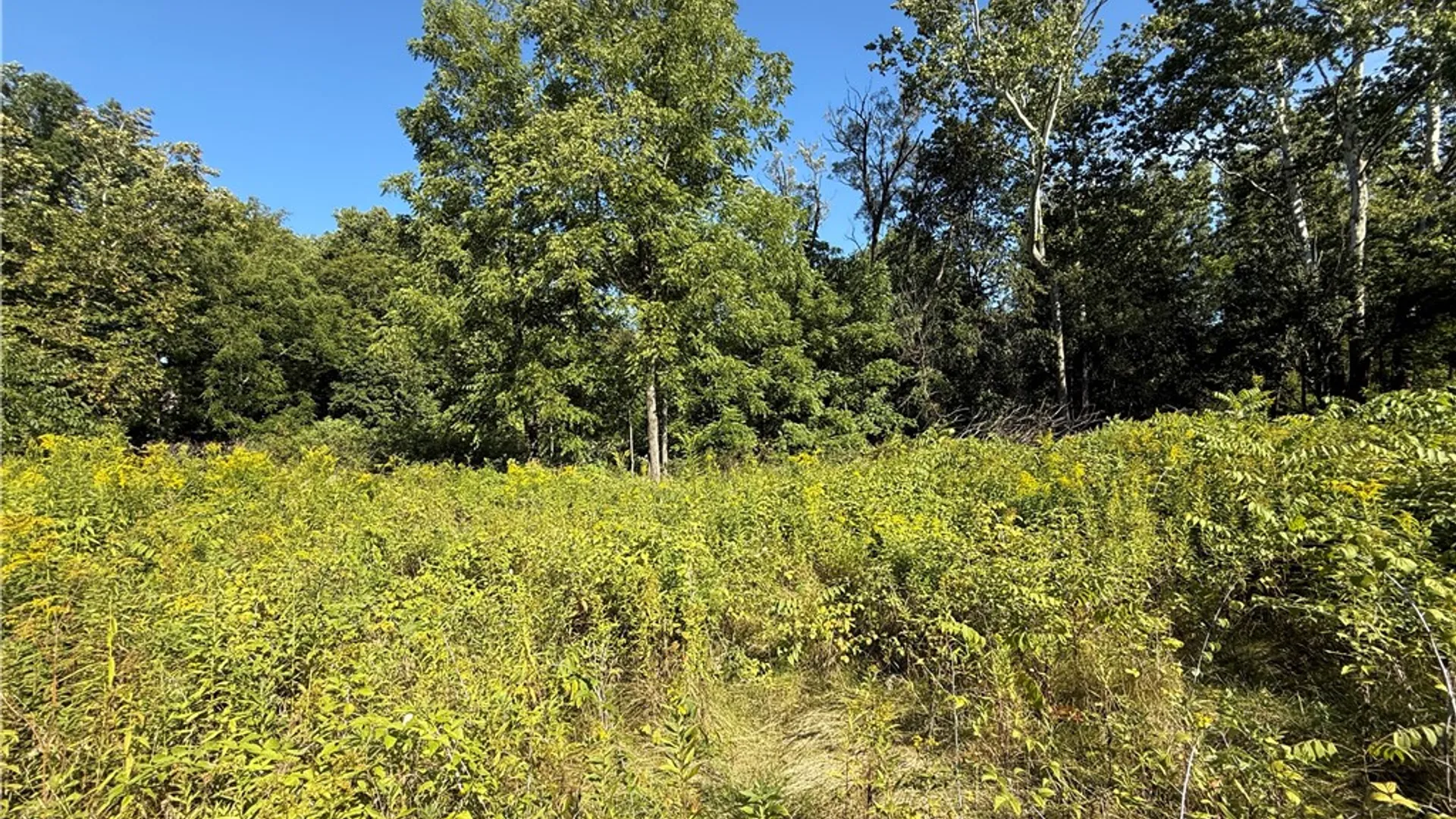 Property at Rt-90, Genoa, NY 13071 13