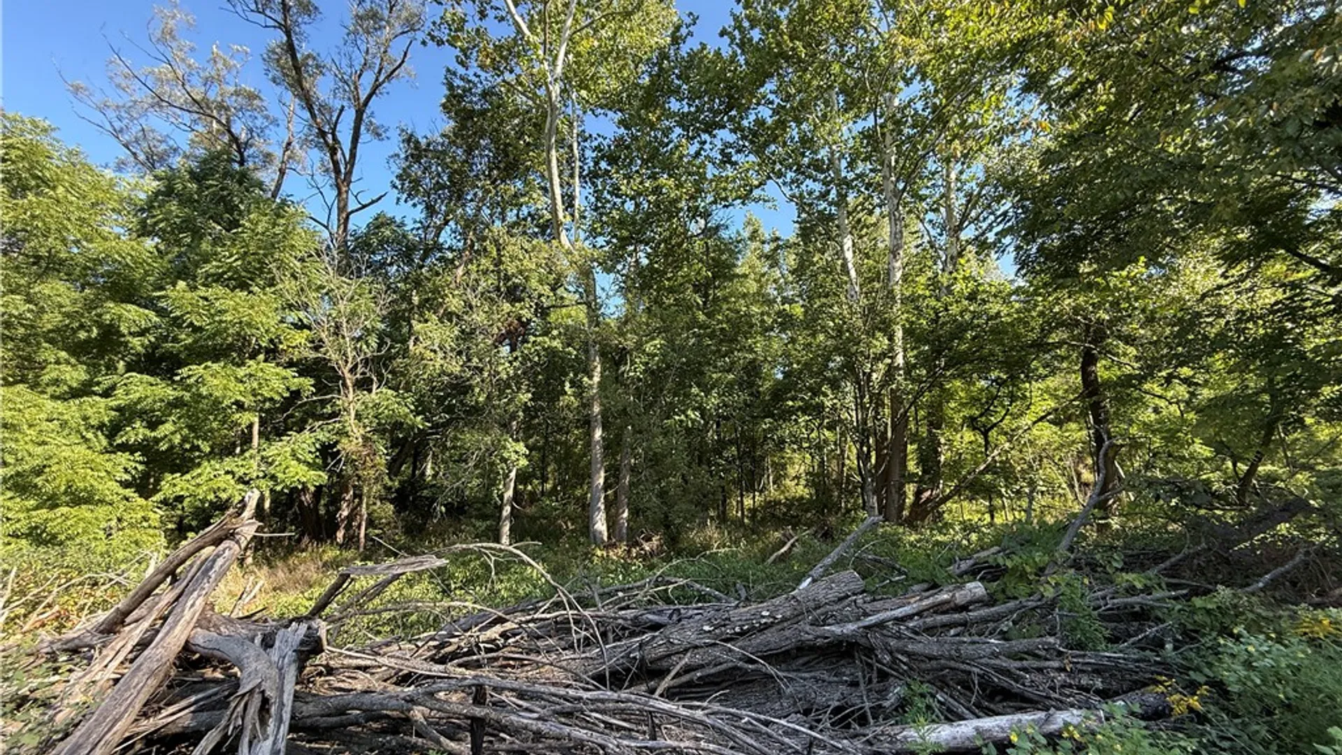 Property at Rt-90, Genoa, NY 13071 15