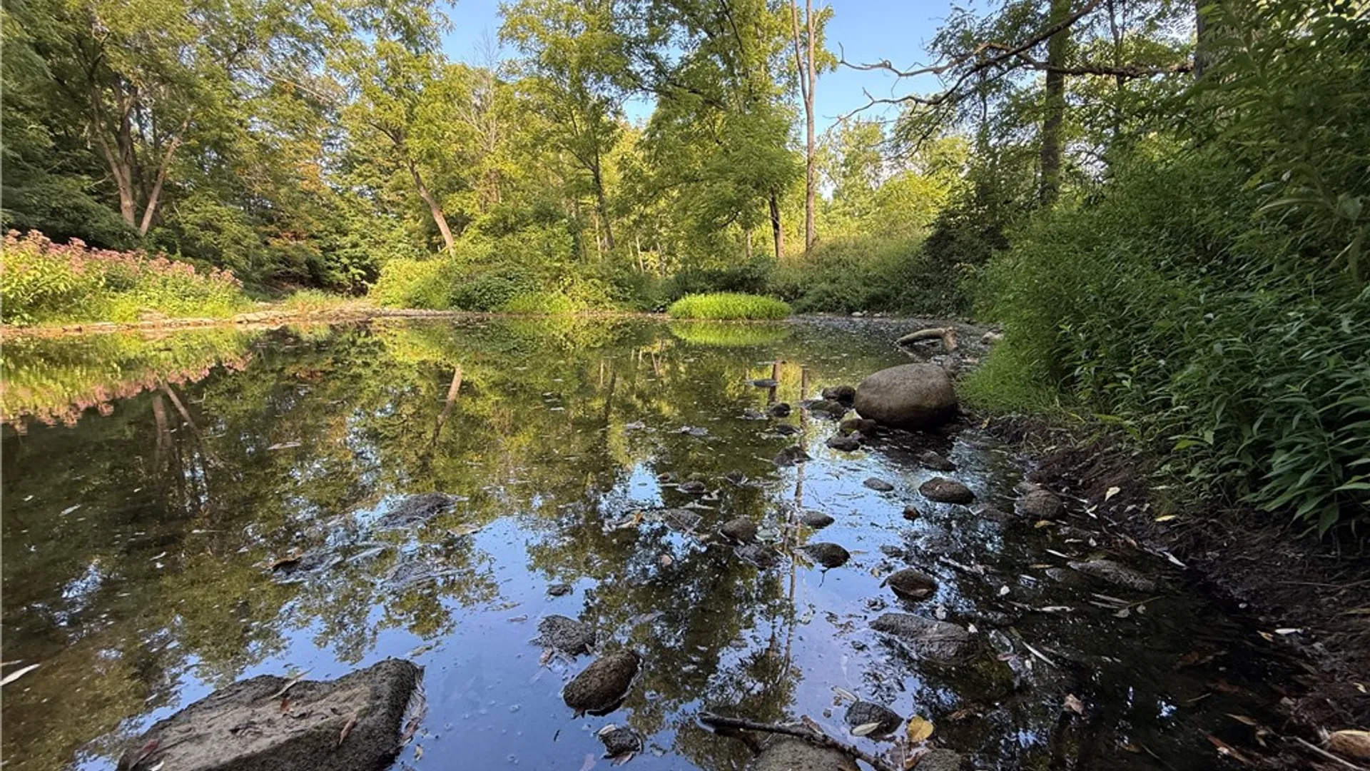 Property at Rt-90, Genoa, NY 13071 2