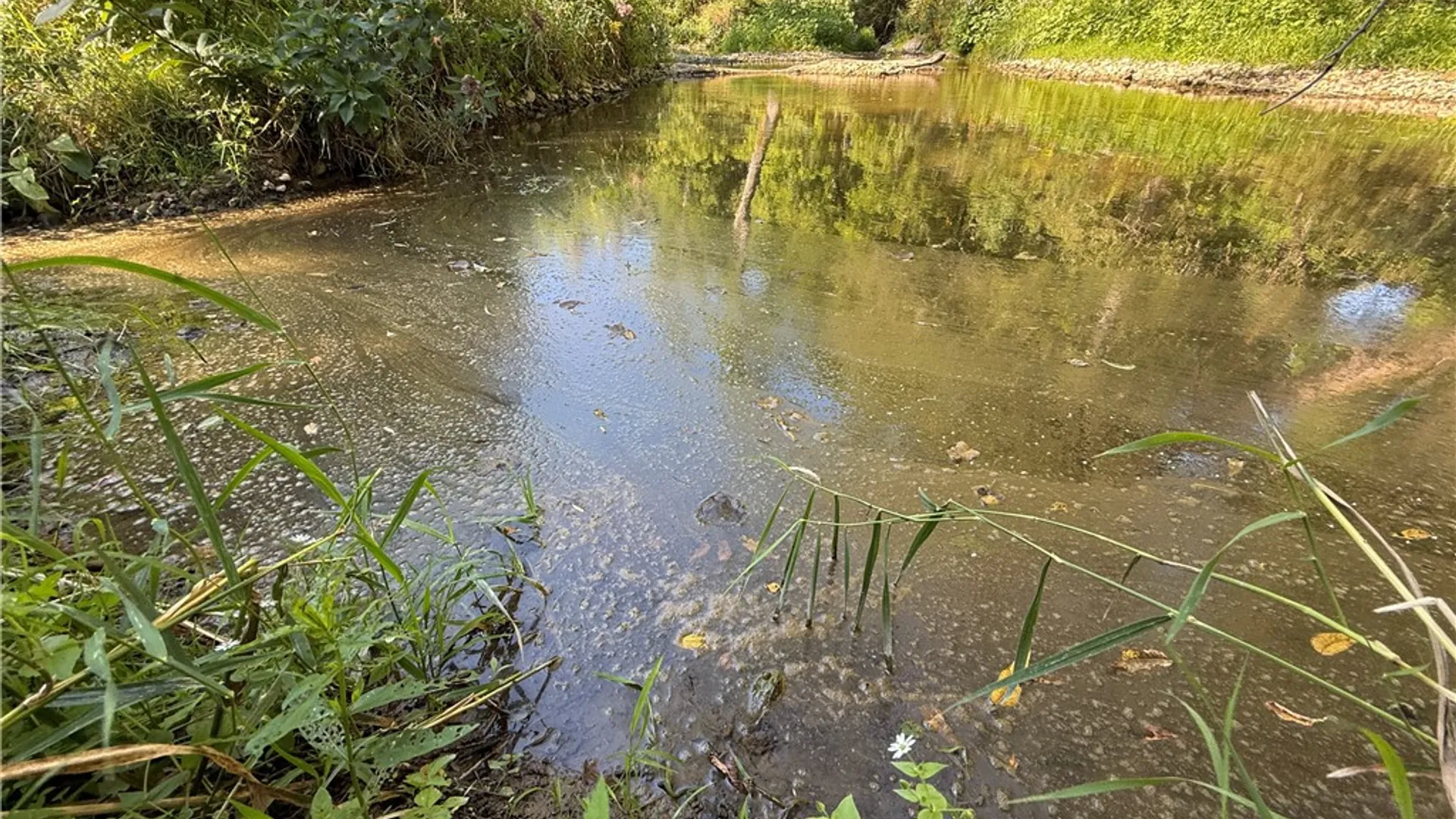 Property at Rt-90, Genoa, NY 13071 21