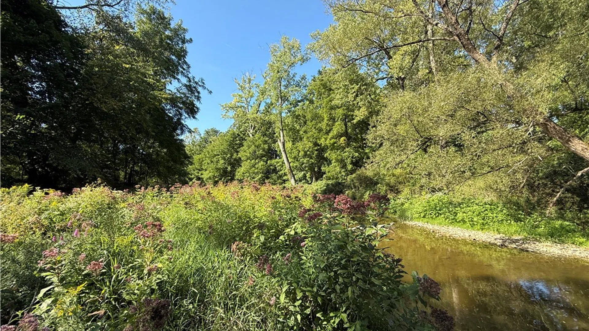 Property at Rt-90, Genoa, NY 13071 22