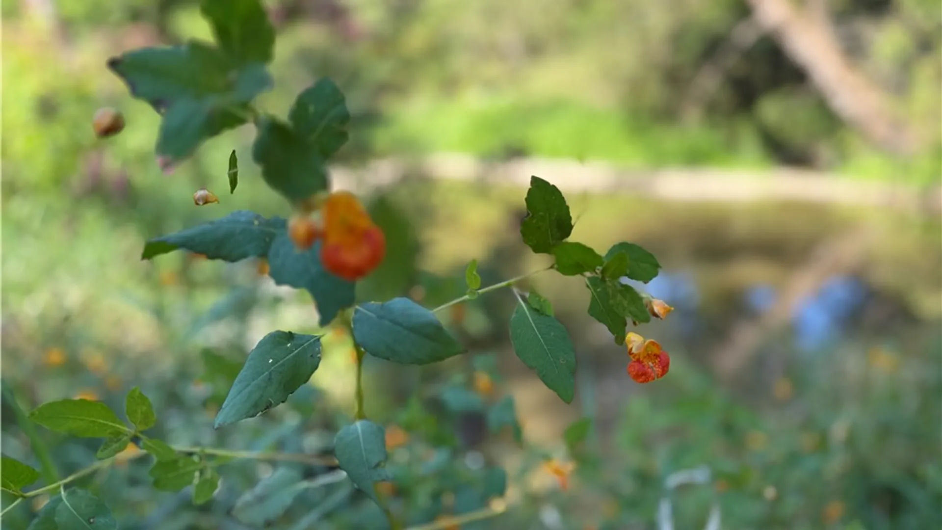 Property at Rt-90, Genoa, NY 13071 24