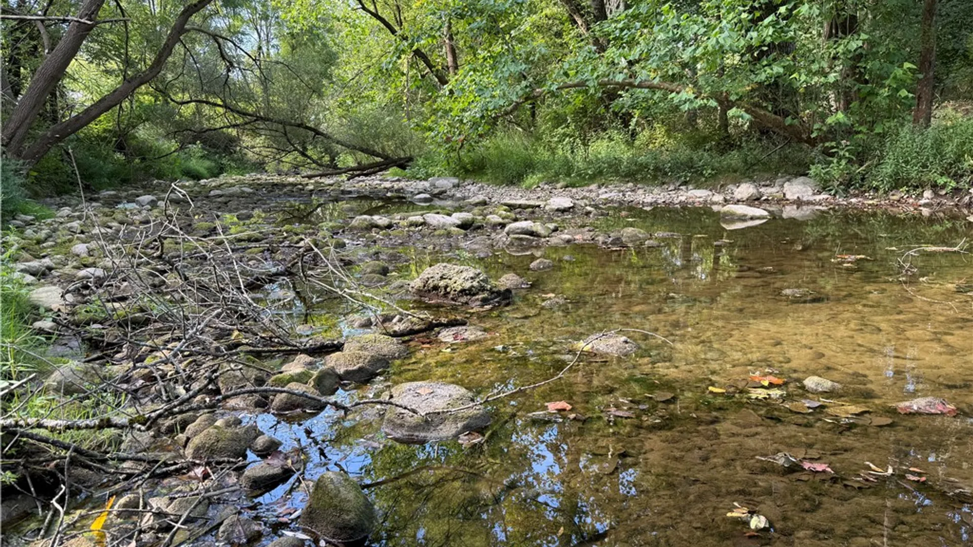 Property at Rt-90, Genoa, NY 13071 3