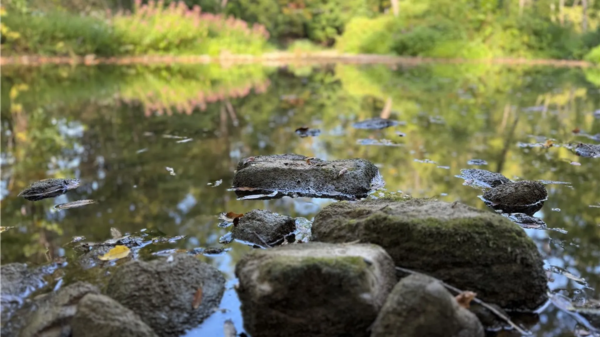 Property at Rt-90, Genoa, NY 13071 4