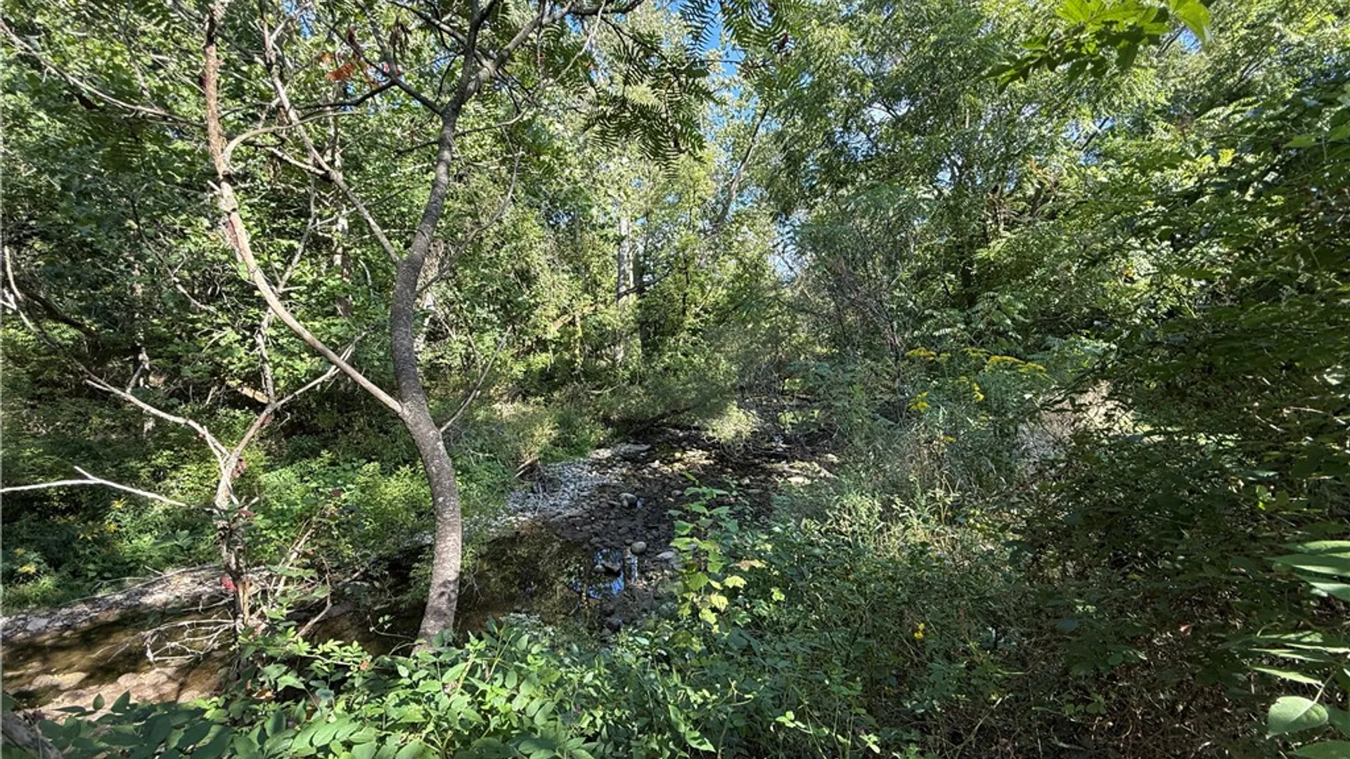 Property at Rt-90, Genoa, NY 13071 6