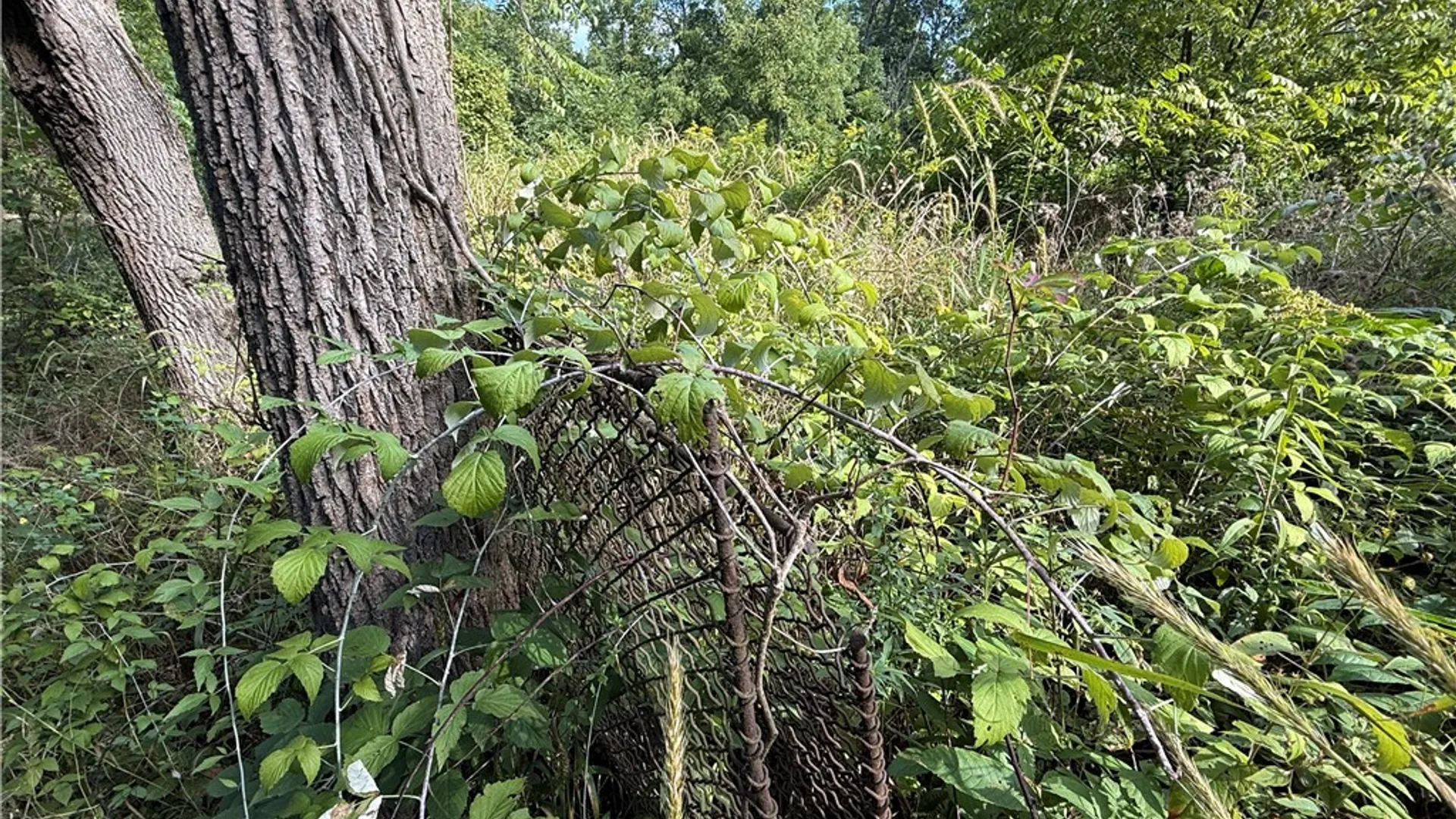 Property at Rt-90, Genoa, NY 13071 9