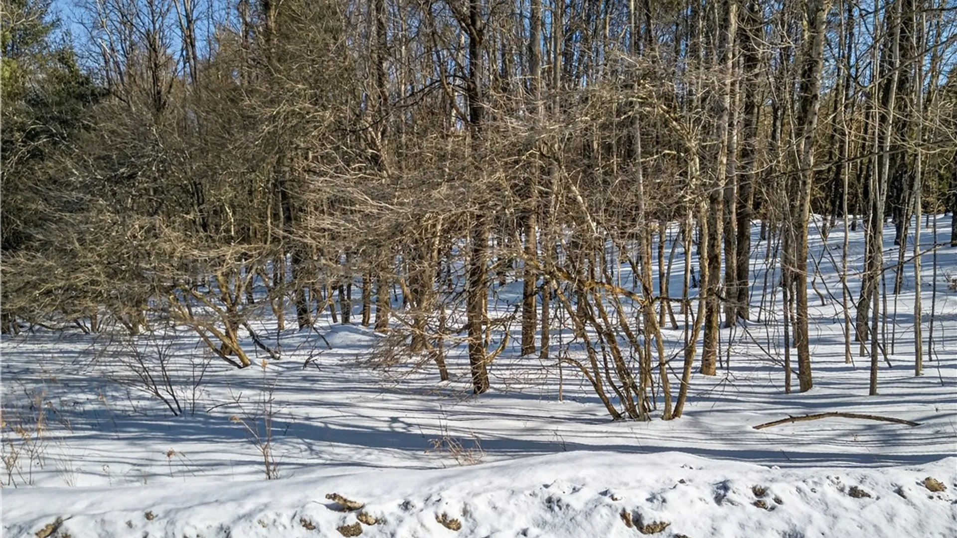 Property at L29 County Highway 45, Hartwick, NY 13807 11