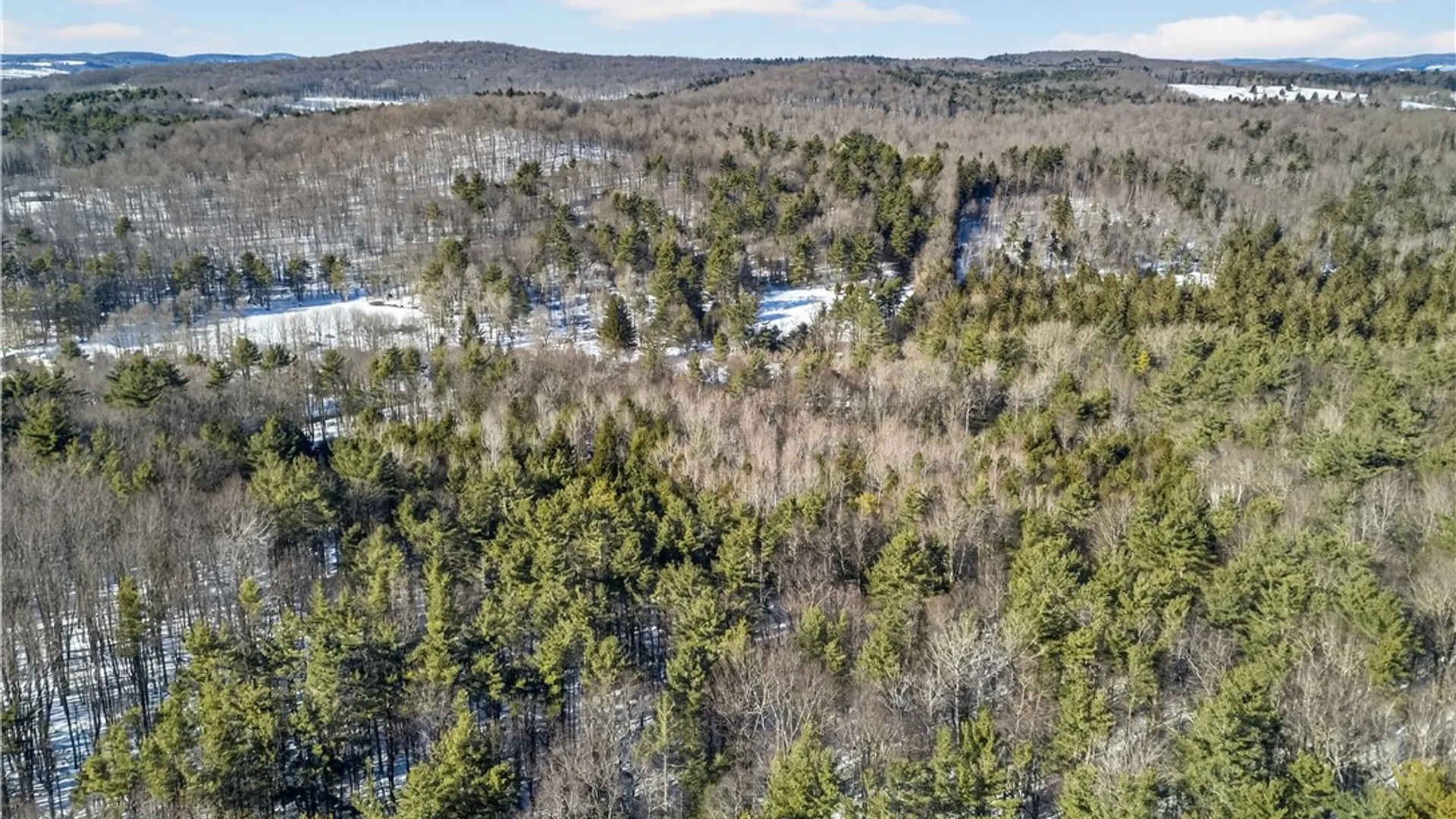 Property at L29 County Highway 45, Hartwick, NY 13807 12