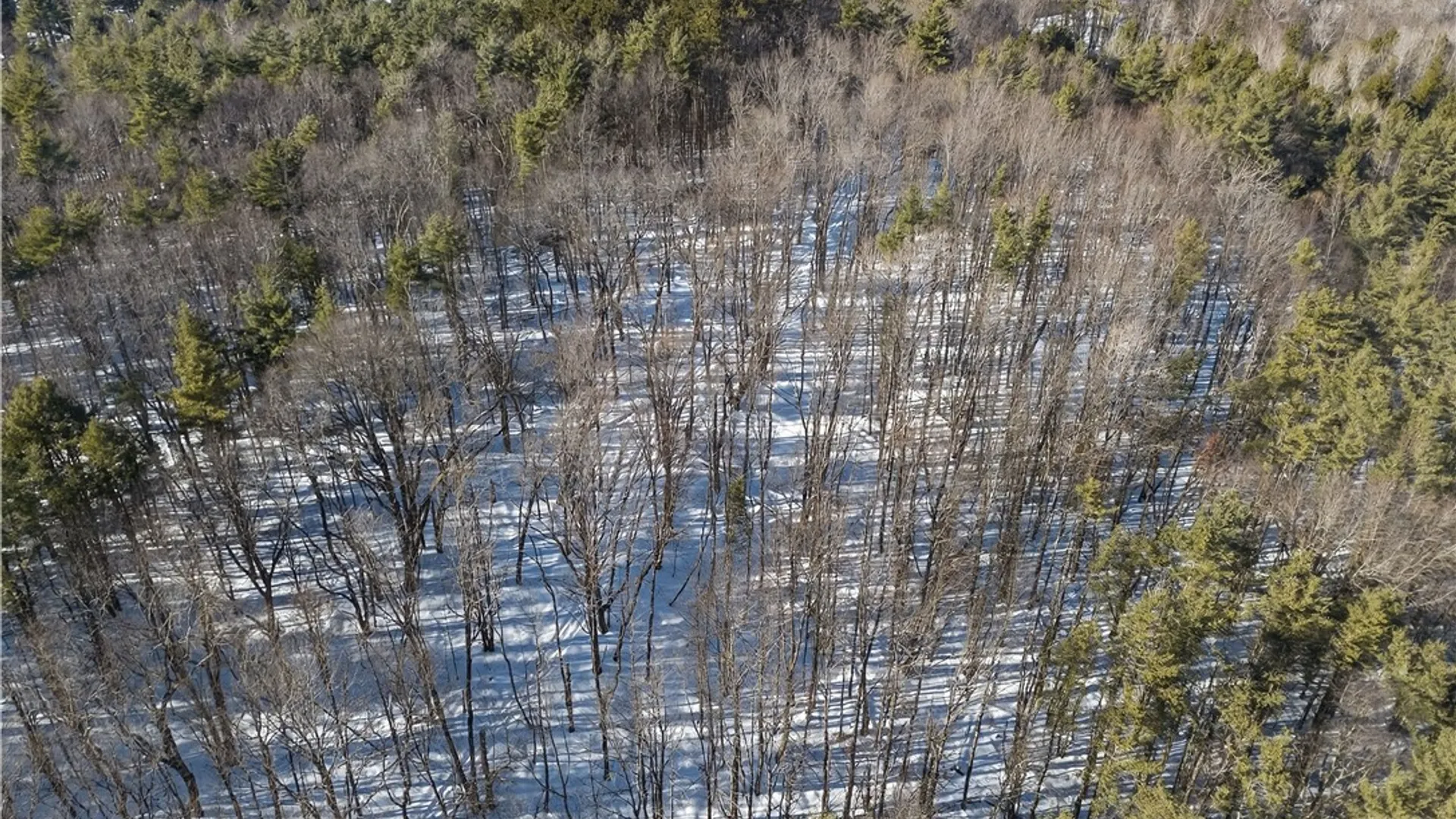 Property at L29 County Highway 45, Hartwick, NY 13807 15