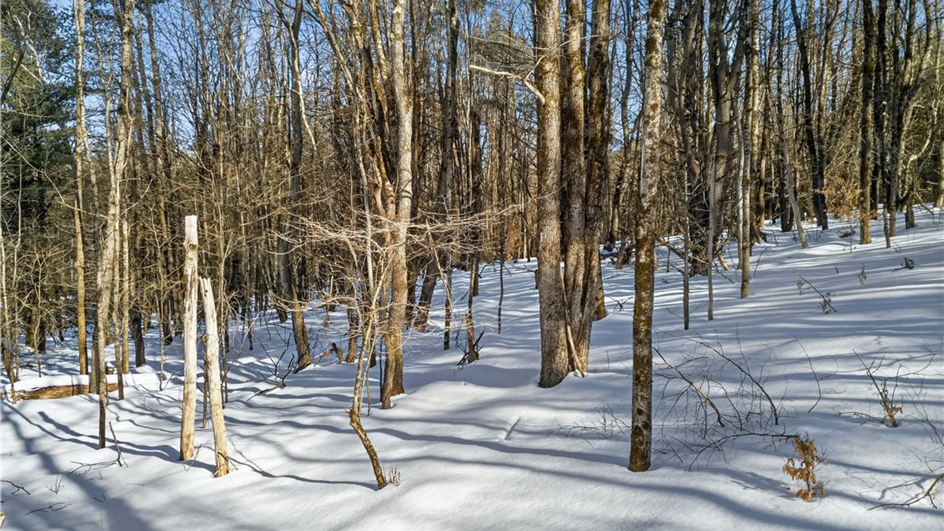 Property at L29 County Highway 45, Hartwick, NY 13807 18