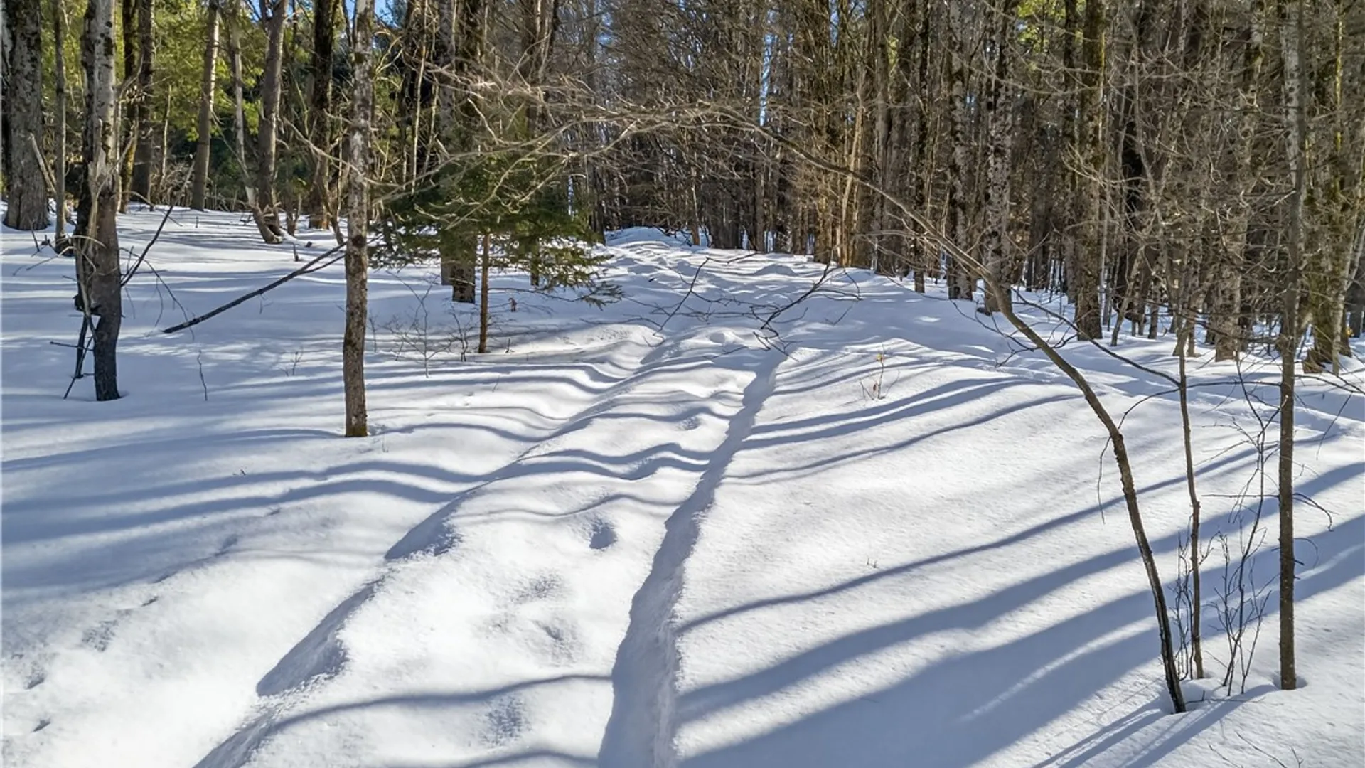 Property at L29 County Highway 45, Hartwick, NY 13807 5