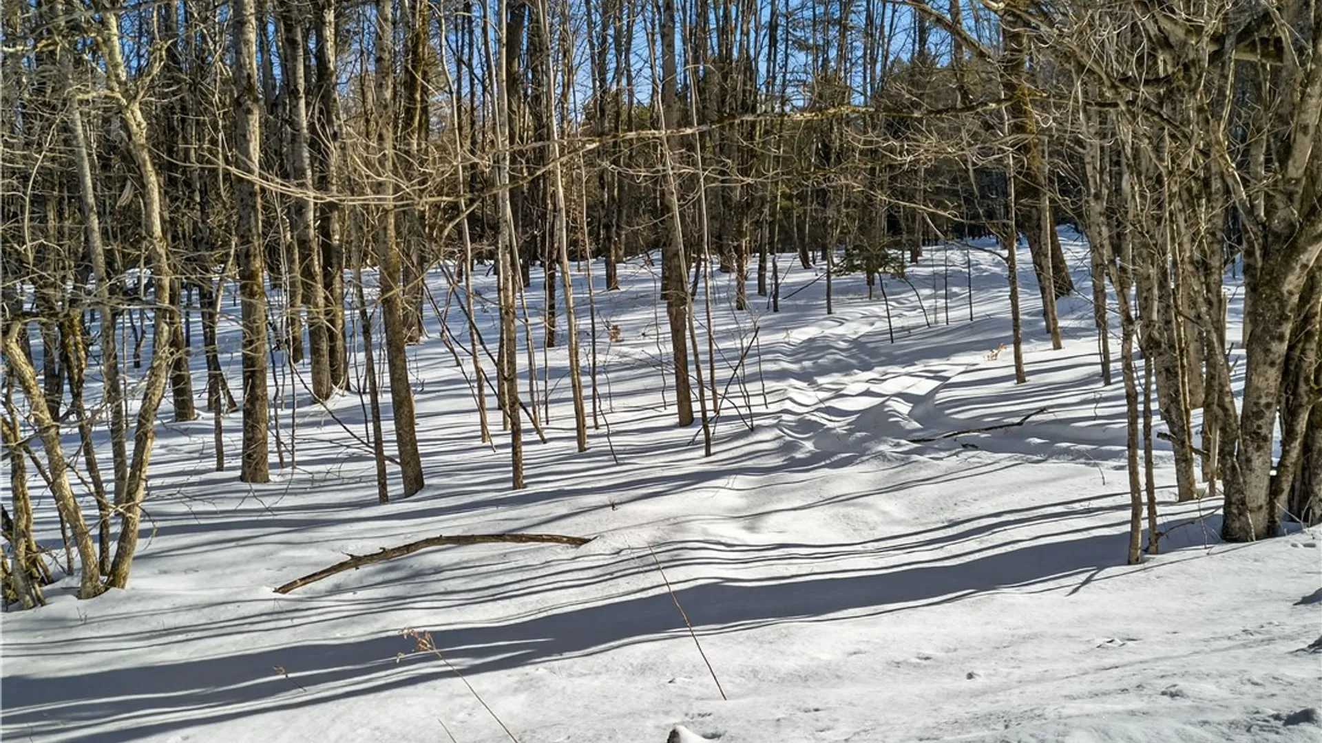 Property at L29 County Highway 45, Hartwick, NY 13807 6