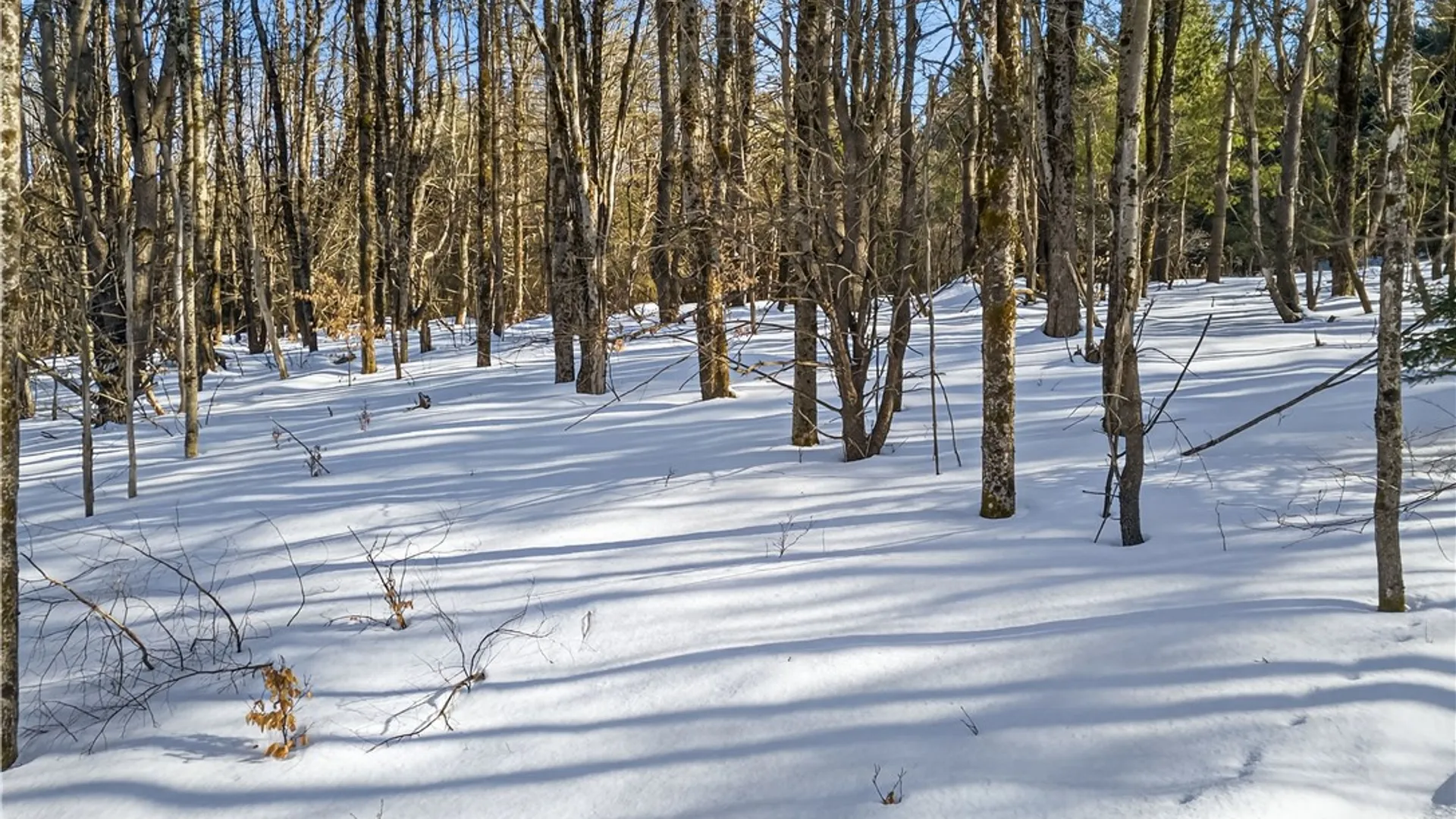 Property at L29 County Highway 45, Hartwick, NY 13807 7