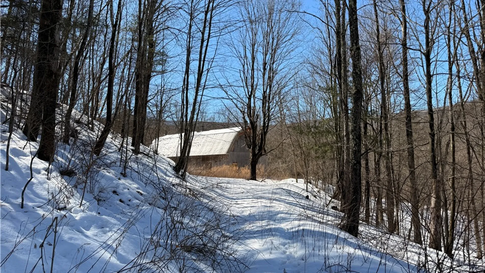 Property at 30 & 33 Harter Road, Lexington, NY 12492 11