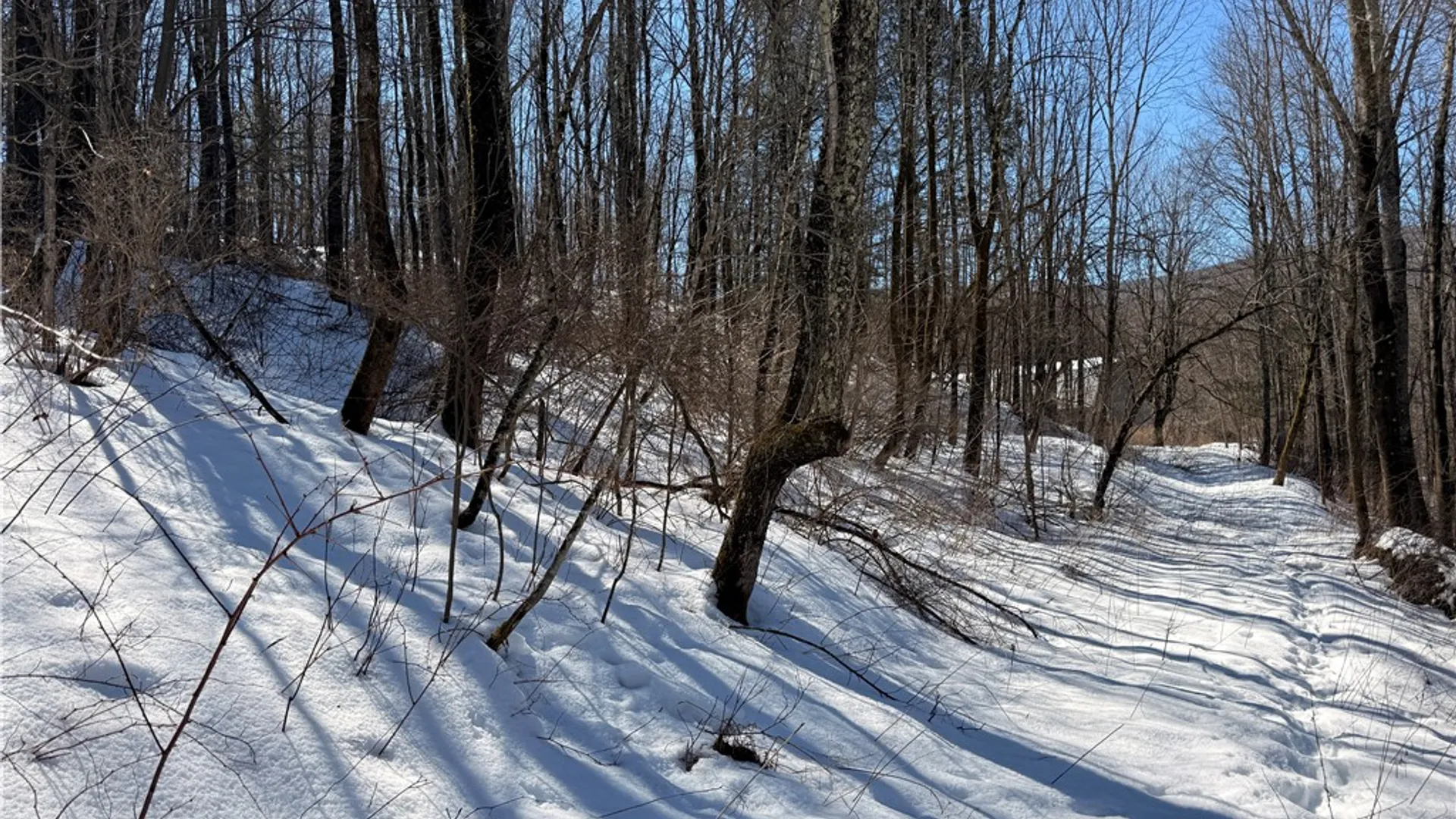 Property at 30 & 33 Harter Road, Lexington, NY 12492 12