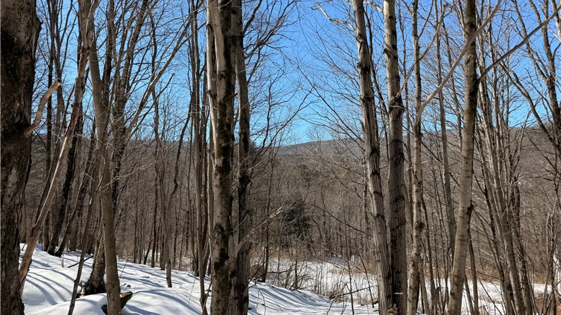 Property at 30 & 33 Harter Road, Lexington, NY 12492 14