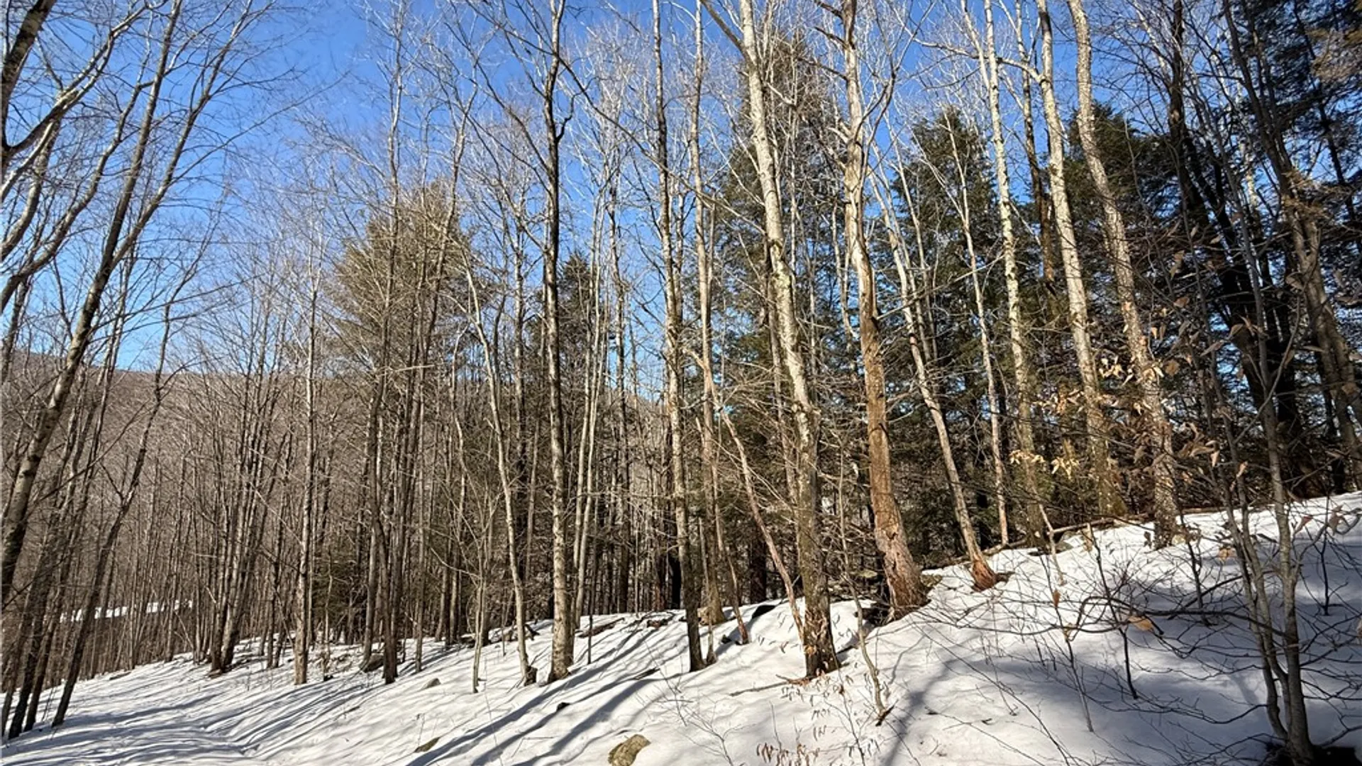 Property at 30 & 33 Harter Road, Lexington, NY 12492 17