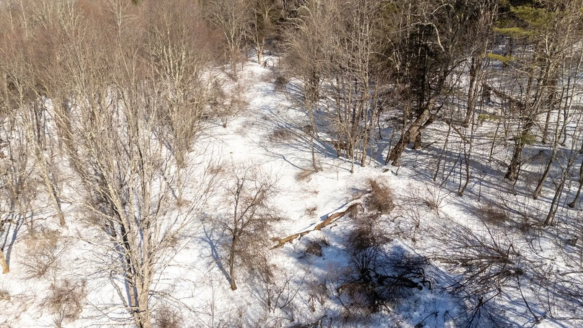 Property at 30 & 33 Harter Road, Lexington, NY 12492 19