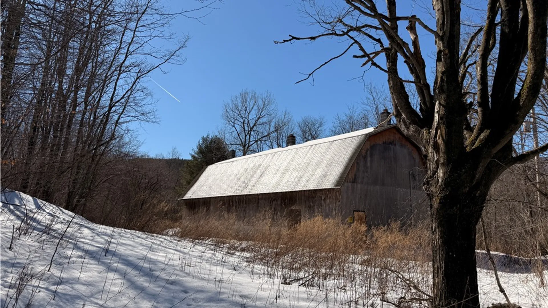 Property at 30 & 33 Harter Road, Lexington, NY 12492 2