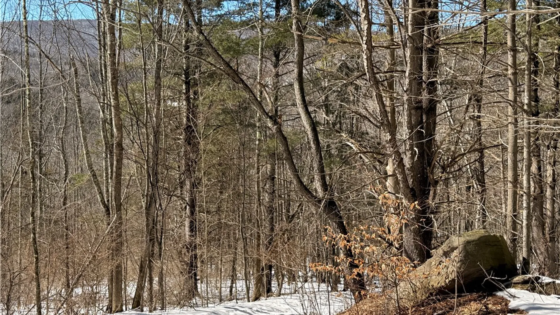 Property at 30 & 33 Harter Road, Lexington, NY 12492 22