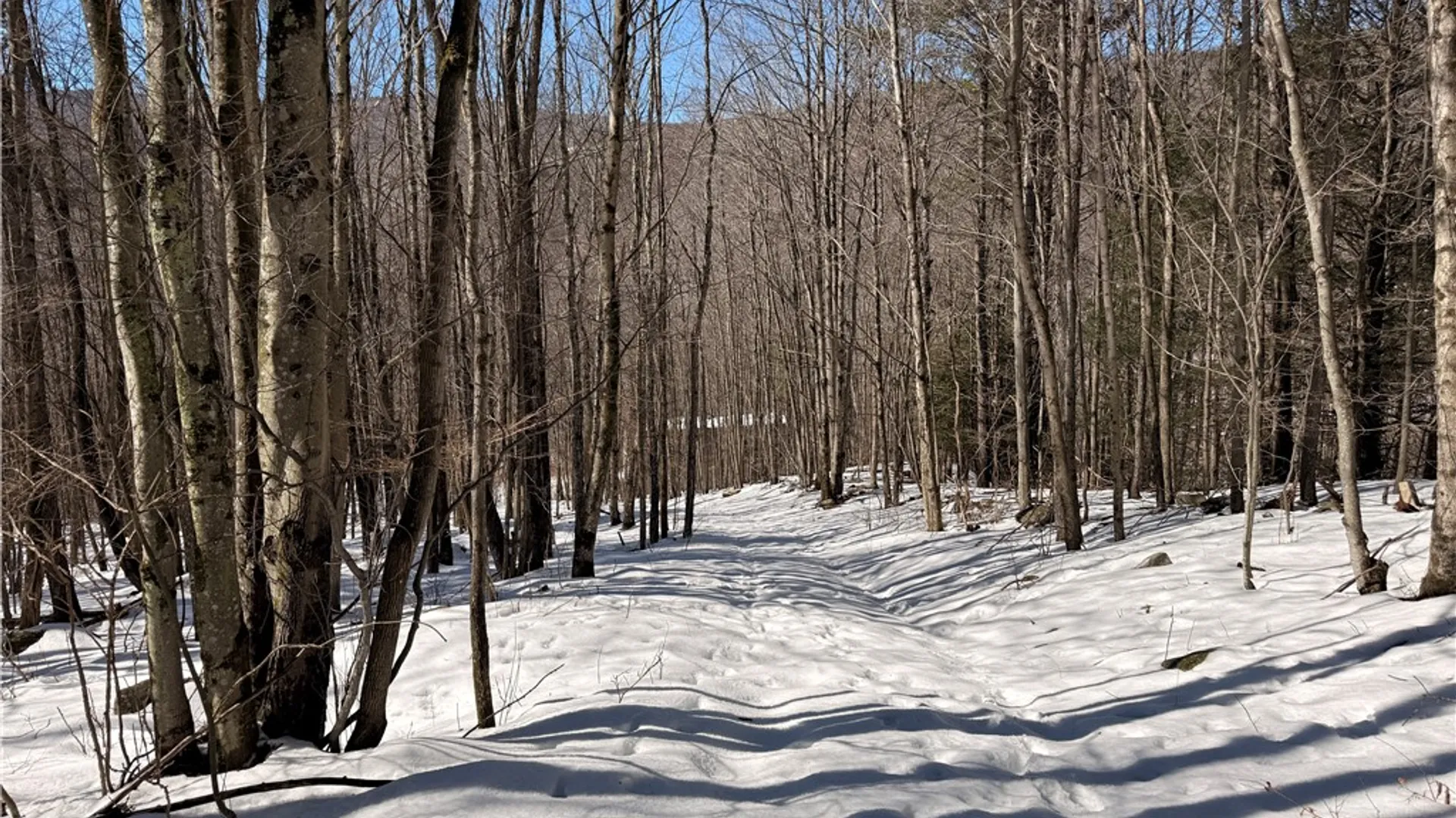 Property at 30 & 33 Harter Road, Lexington, NY 12492 23