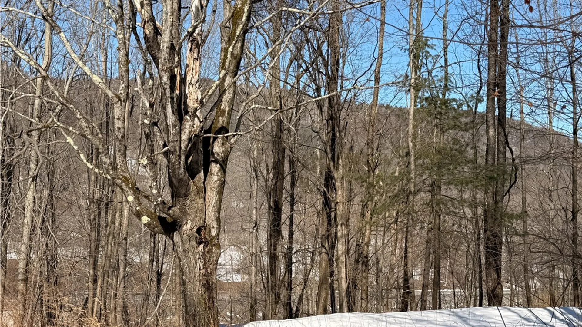 Property at 30 & 33 Harter Road, Lexington, NY 12492 24