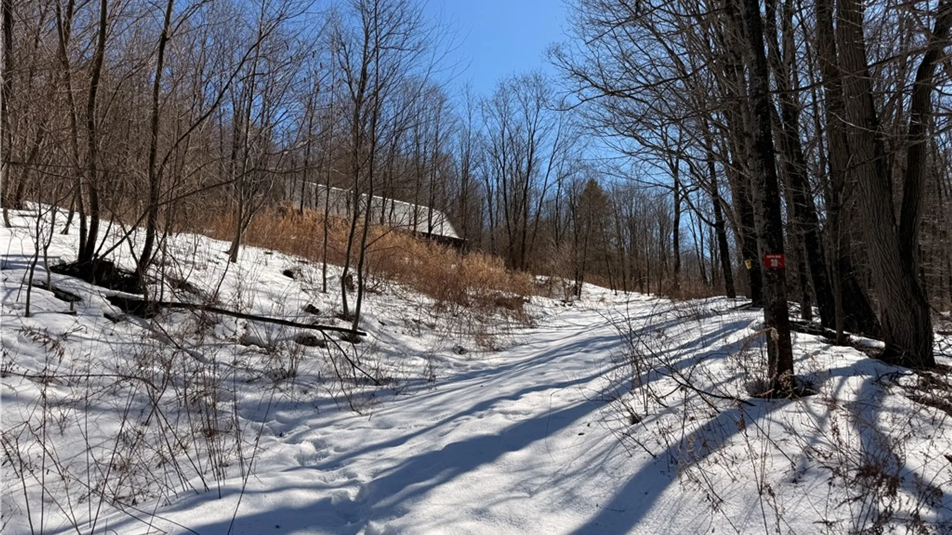 Property at 30 & 33 Harter Road, Lexington, NY 12492 8