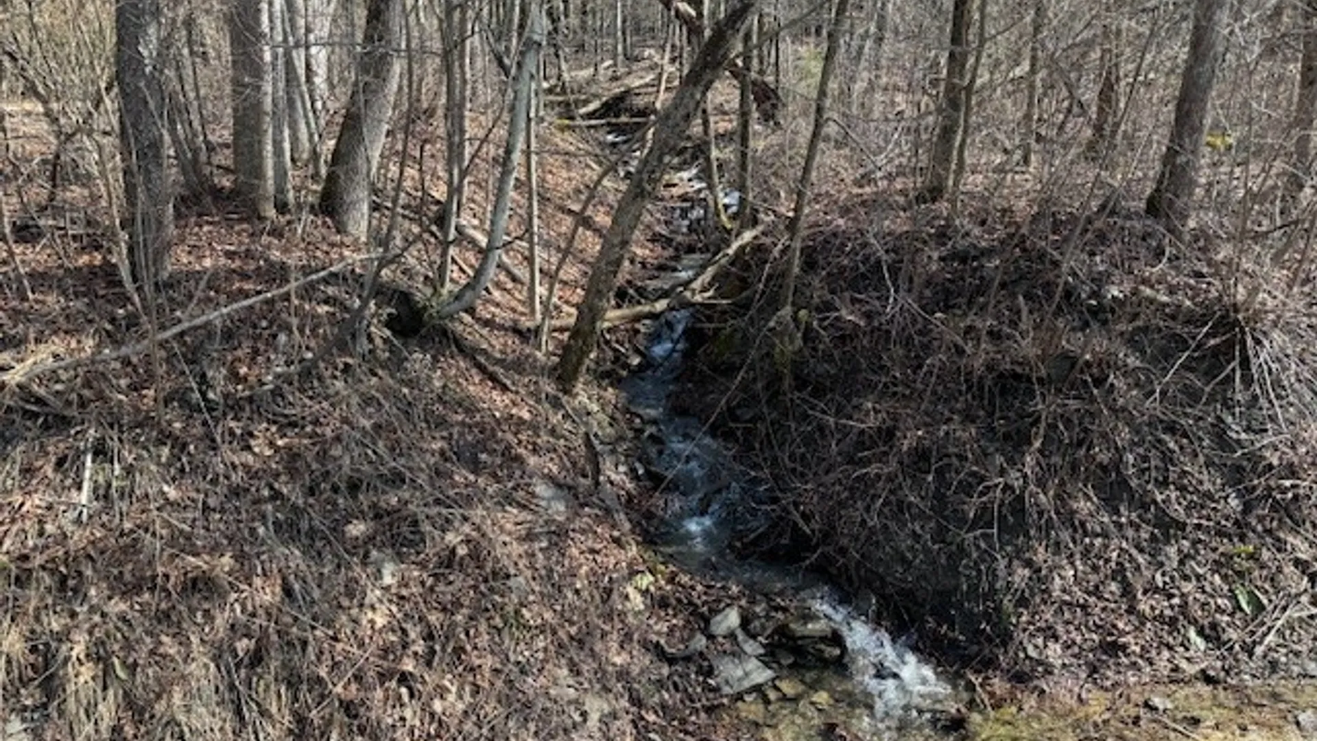 Property at 0 Crumtown Road, Spencer, NY 14883 10