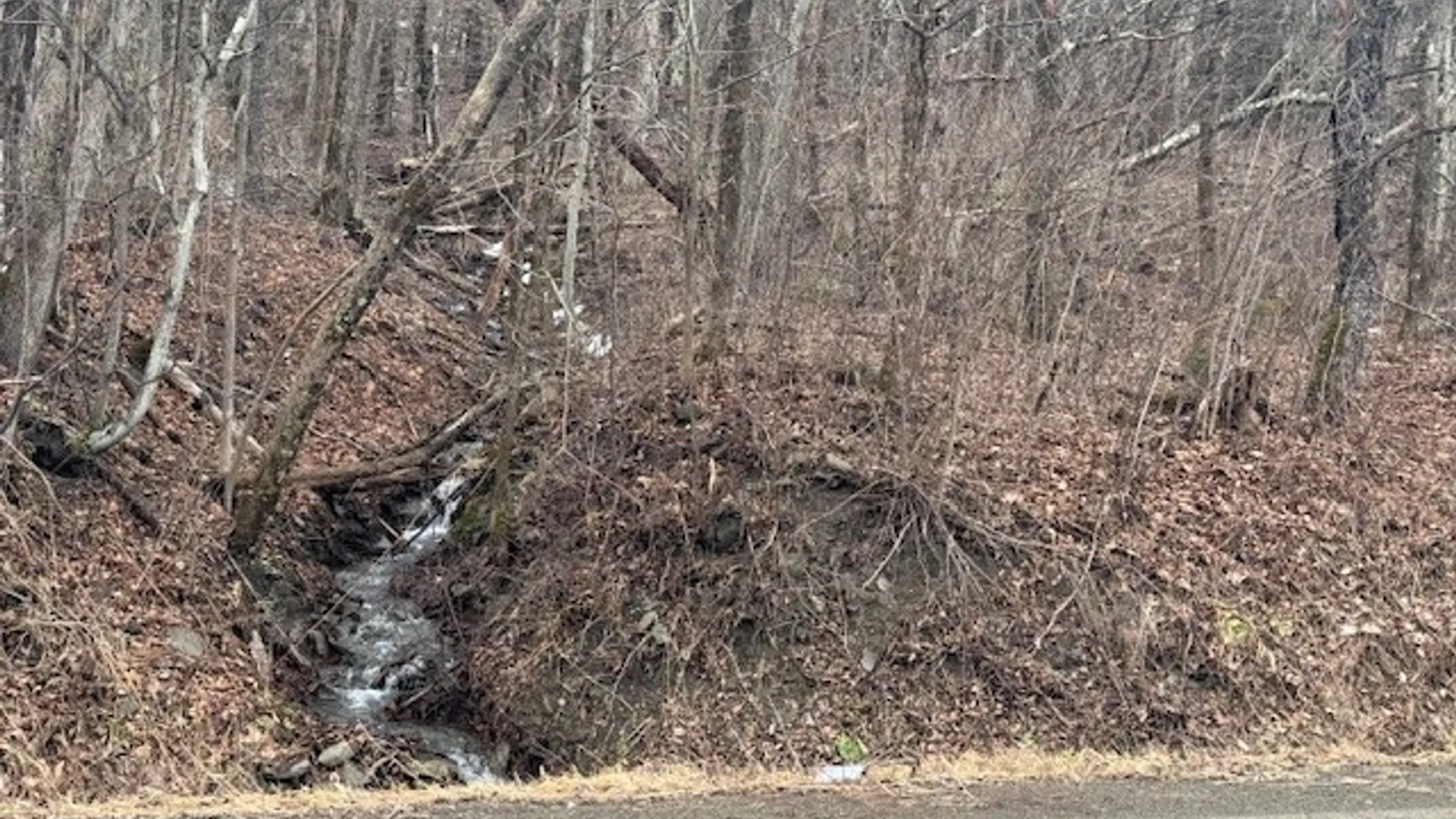 Property at 0 Crumtown Road, Spencer, NY 14883 2