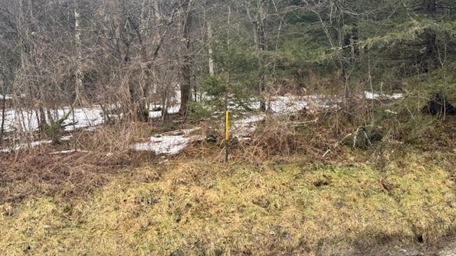 Property at 0 Crumtown Road, Spencer, NY 14883 3