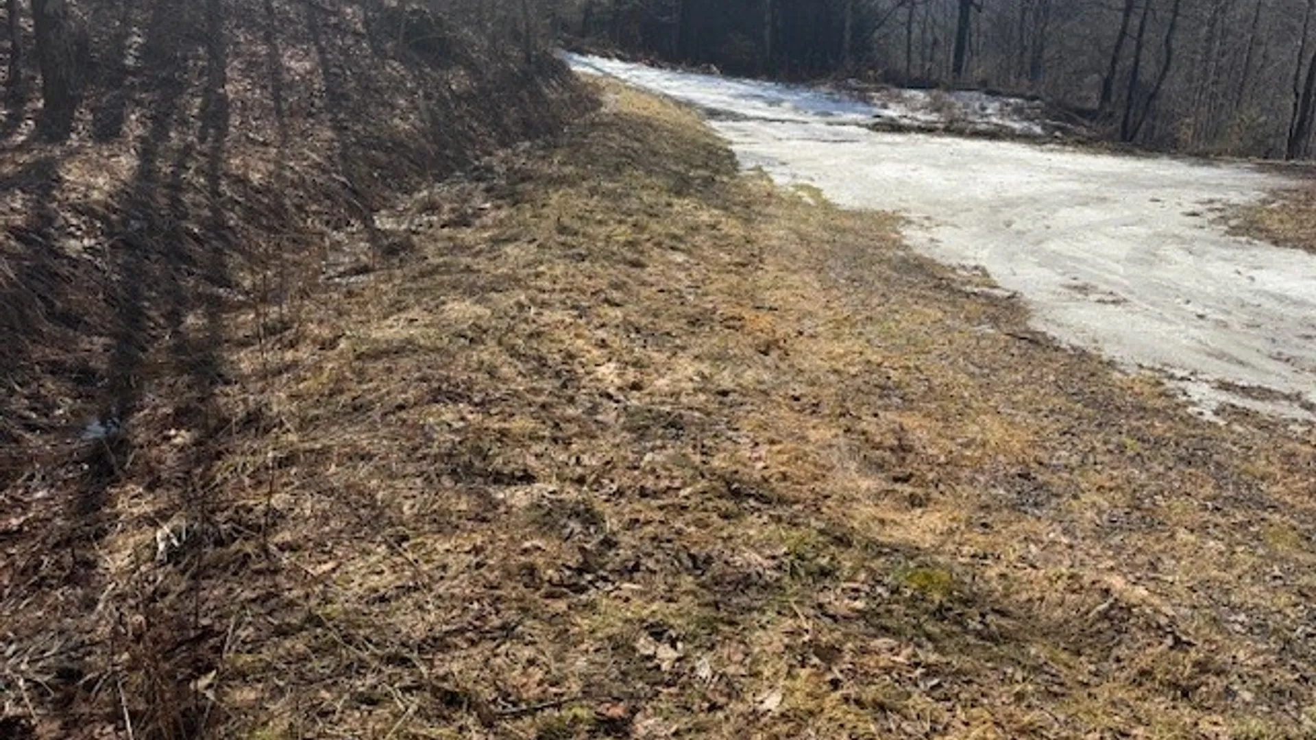 Property at 0 Crumtown Road, Spencer, NY 14883 5