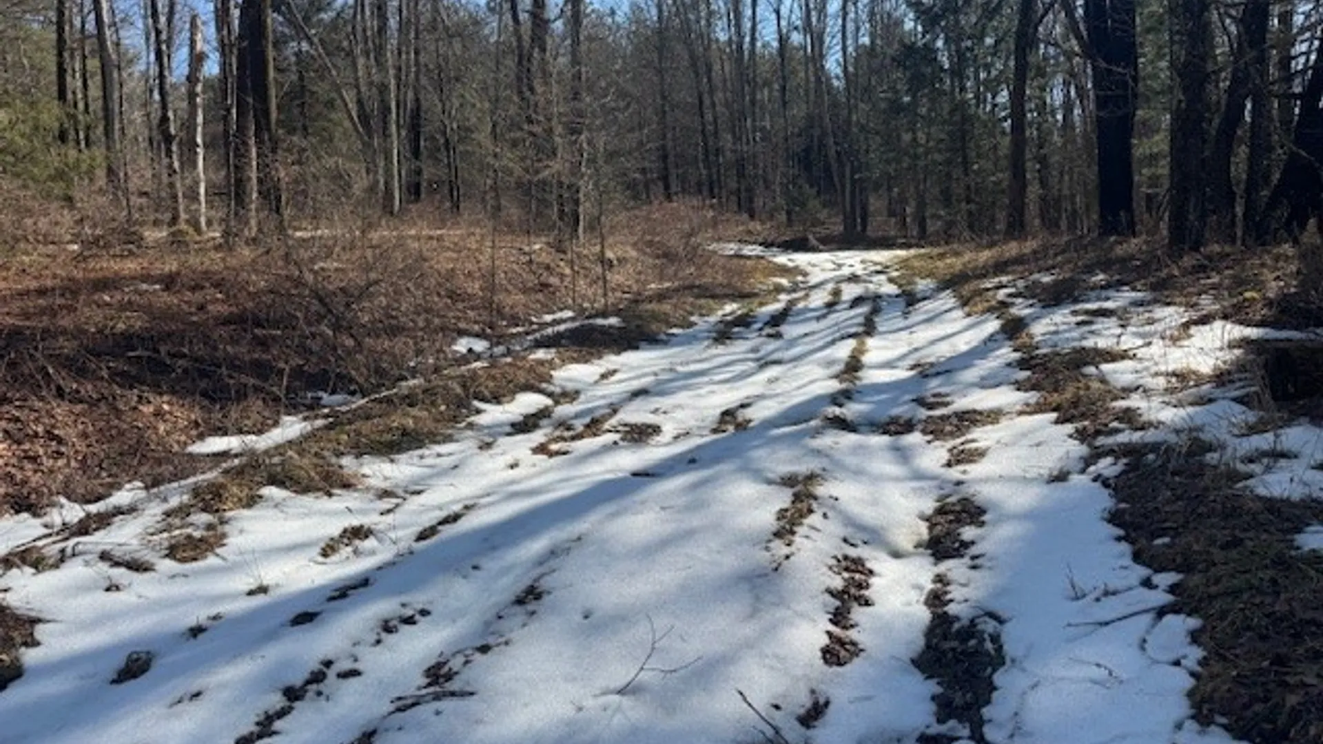 Property at 0 Crumtown Road, Spencer, NY 14883 6