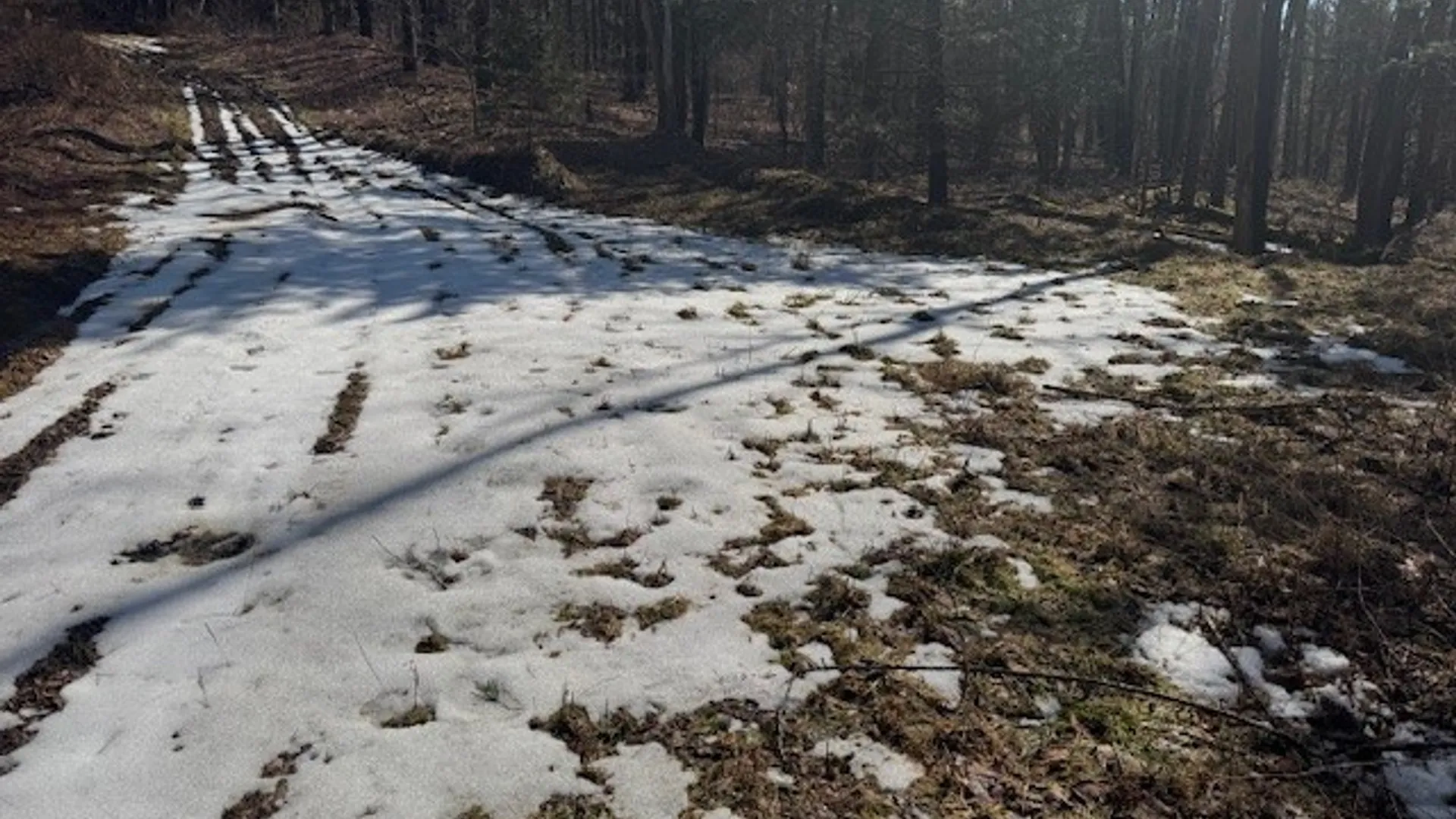 Property at 0 Crumtown Road, Spencer, NY 14883 7