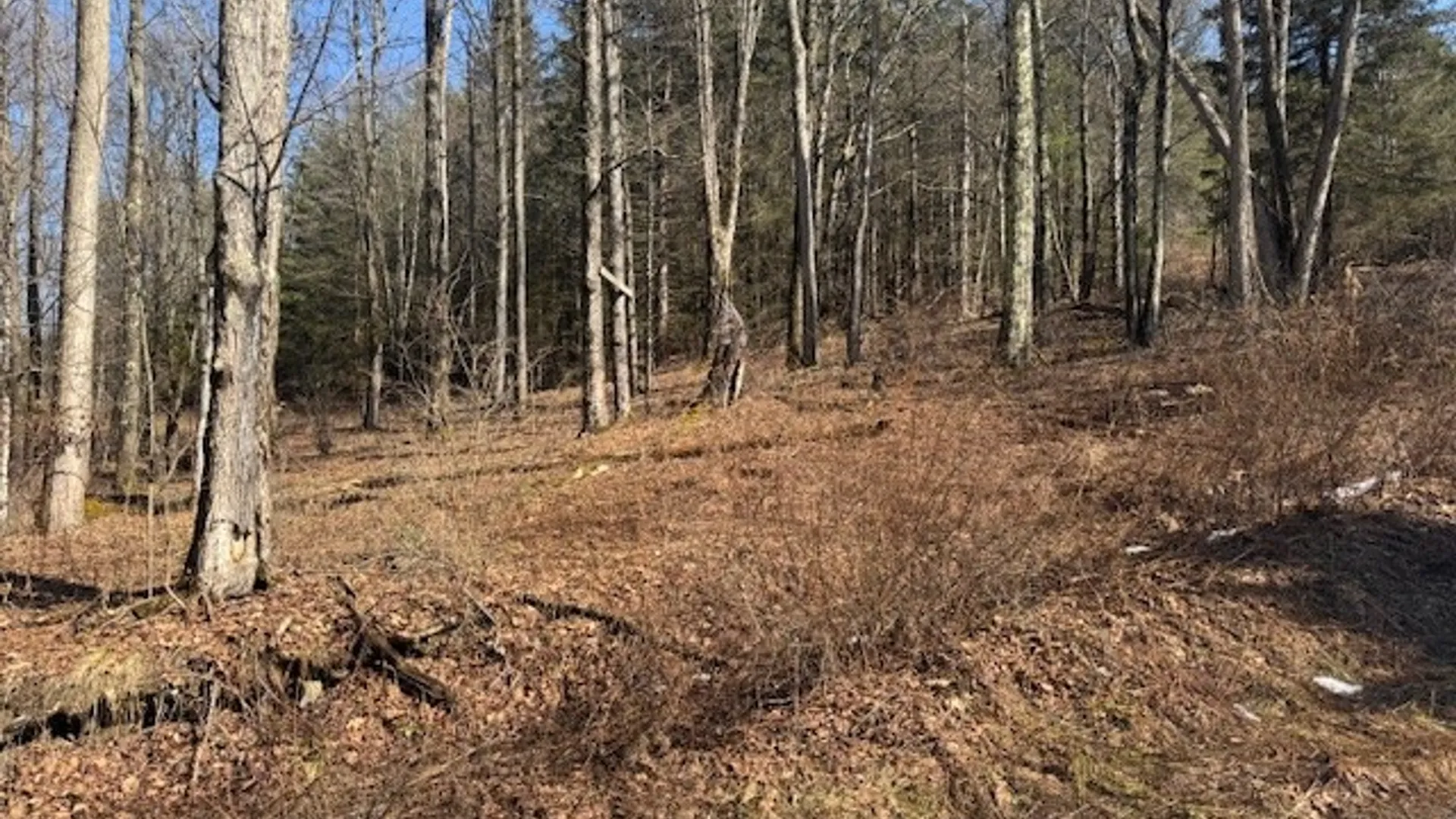 Property at 0 Crumtown Road, Spencer, NY 14883 8