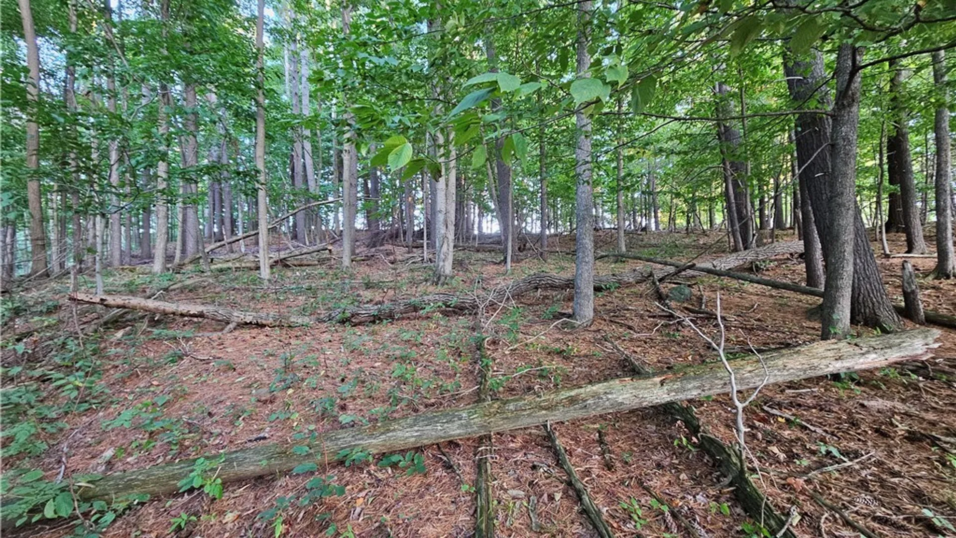 Property at Old State Rd, Denmark, NY 13619 13