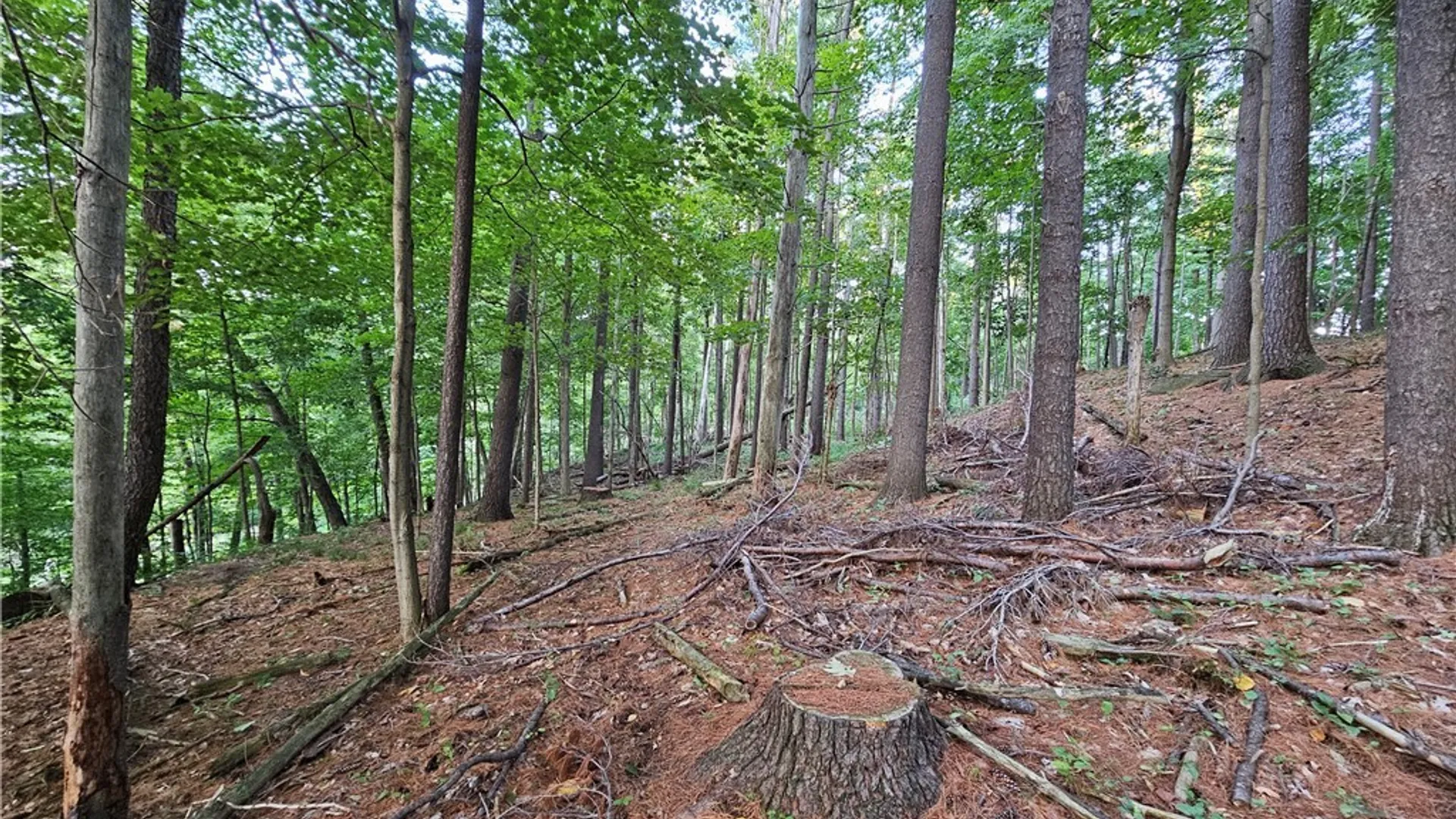 Property at Old State Rd, Denmark, NY 13619 15