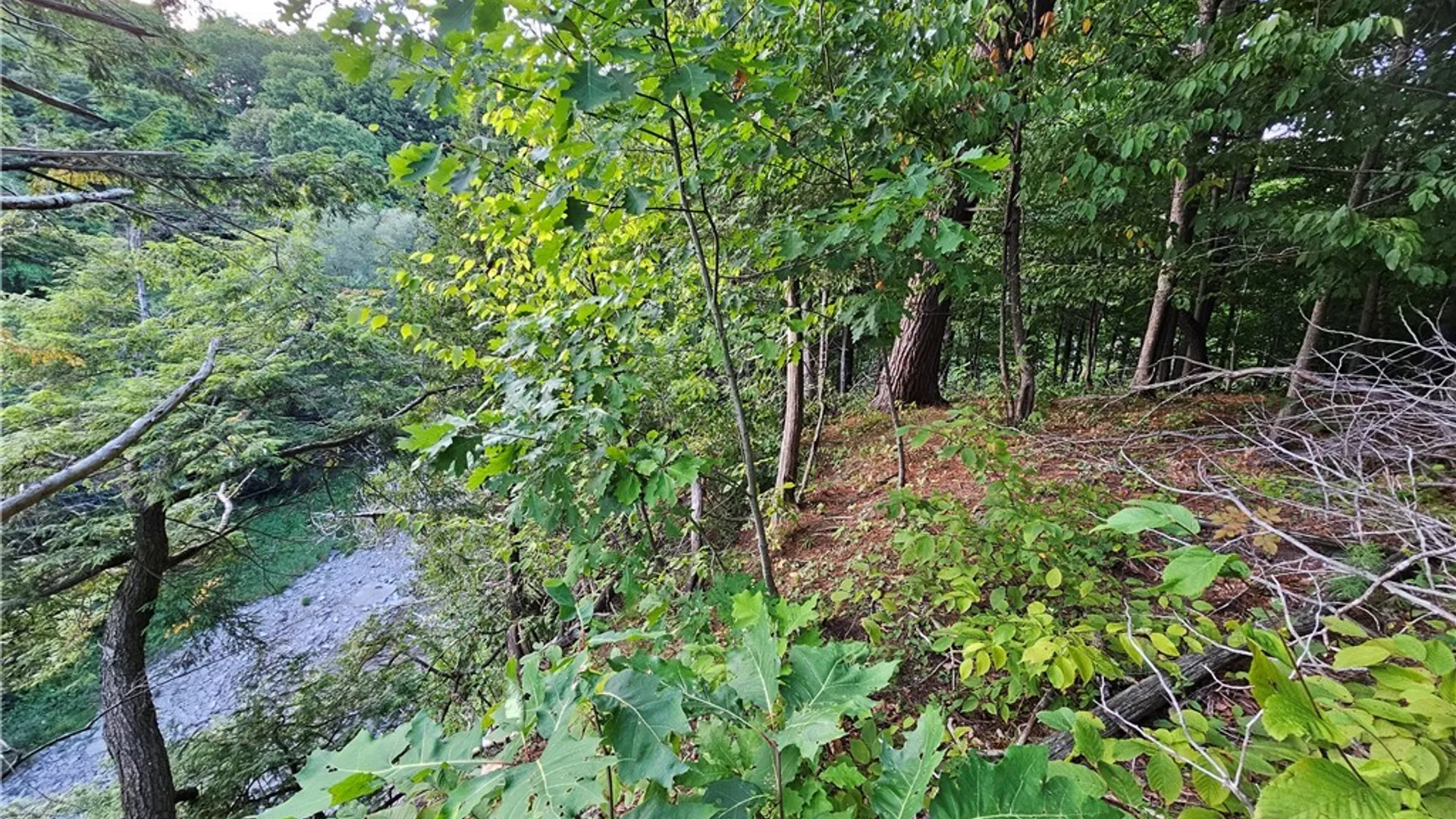 Property at Old State Rd, Denmark, NY 13619 3