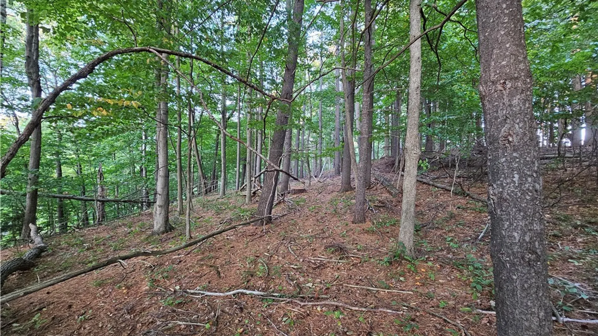 Property at Old State Rd, Denmark, NY 13619 35