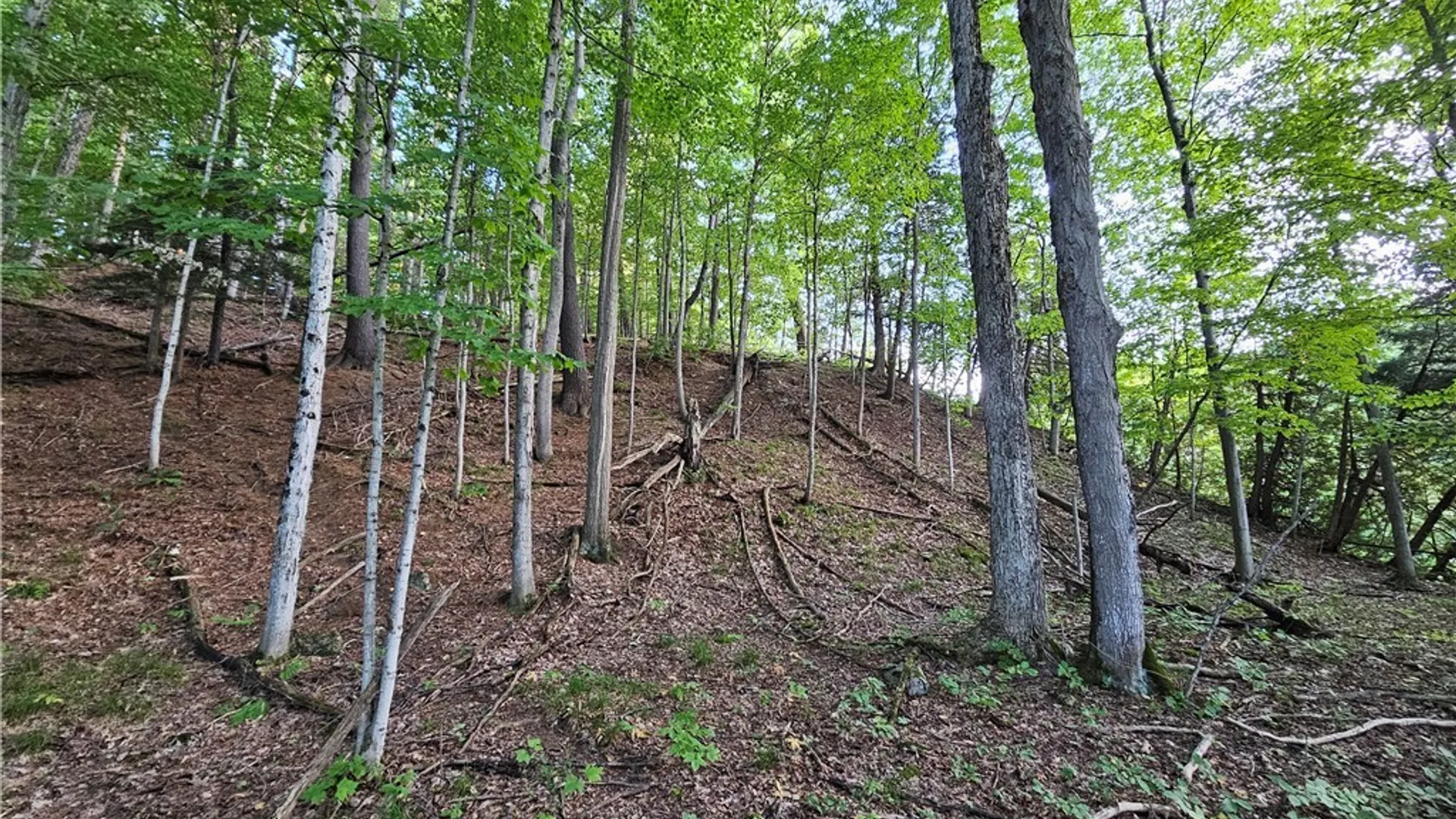 Property at Old State Rd, Denmark, NY 13619 5