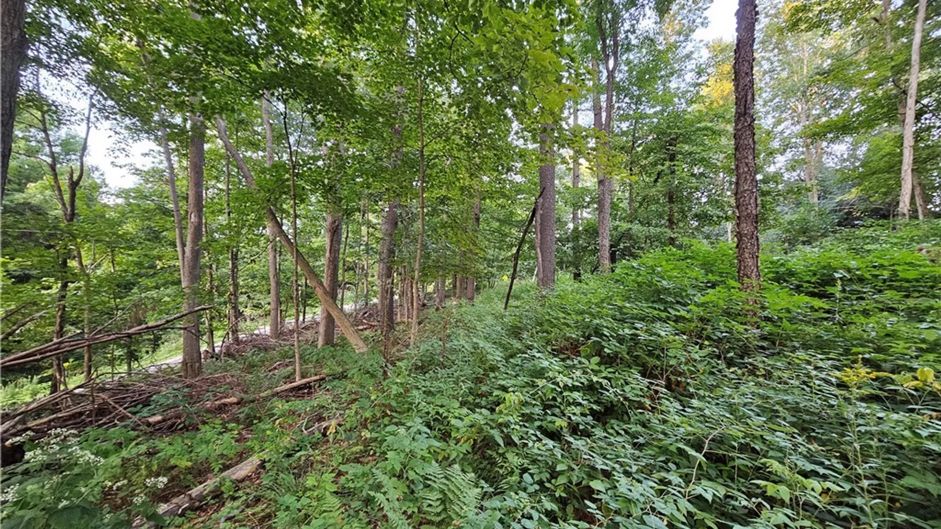 Property at Old State Rd, Denmark, NY 13619 8