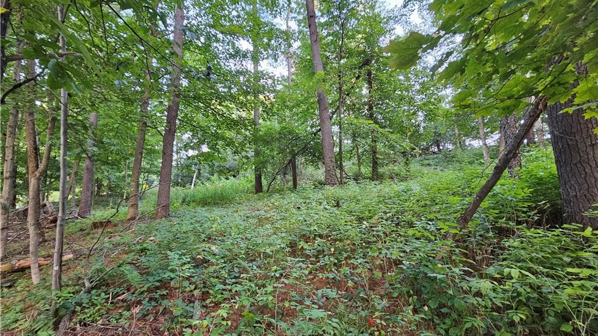 Property at Old State Rd, Denmark, NY 13619 9