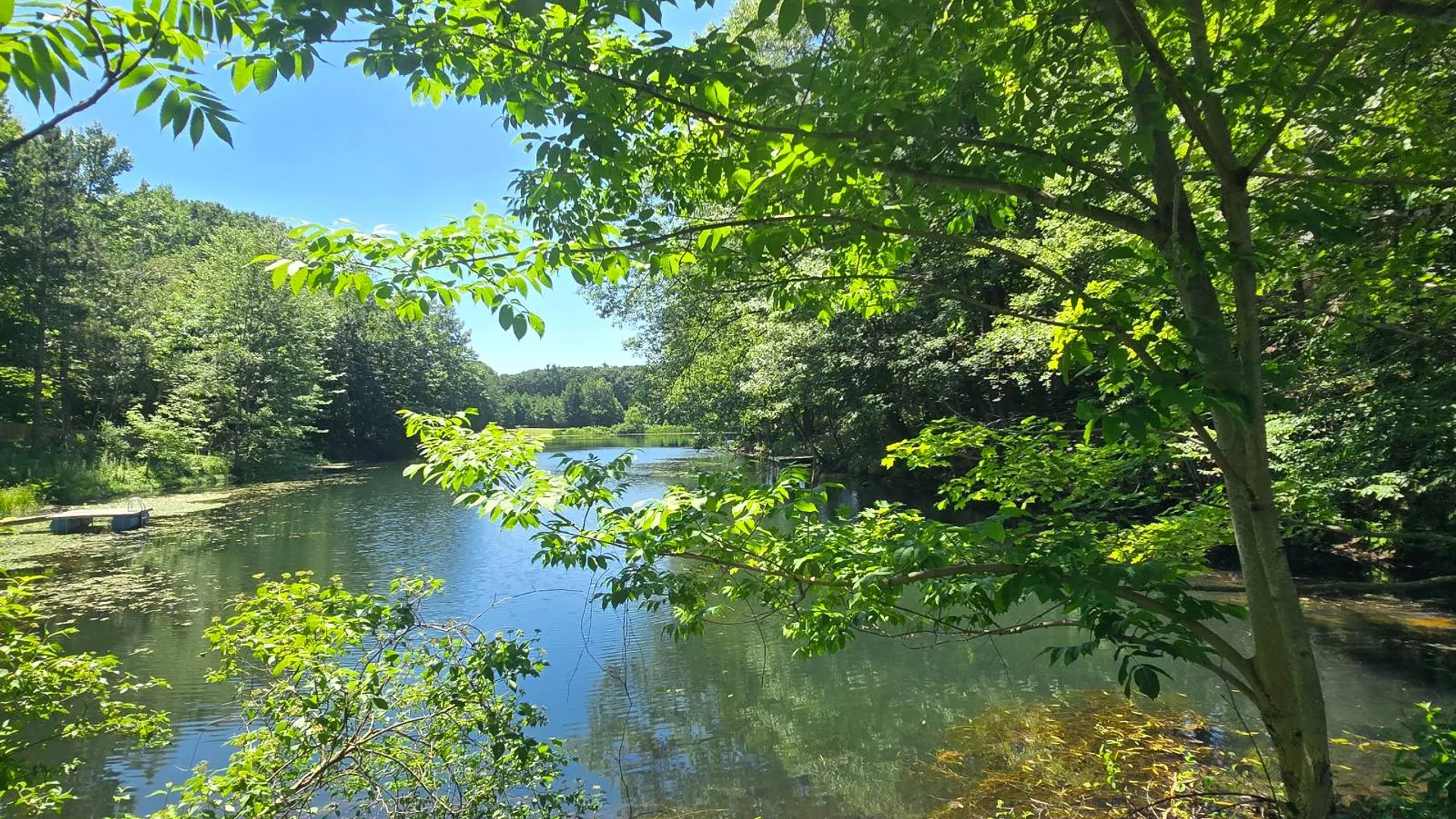 Property at 56 Fawn Lake Rd, Altmar, NY 13302 31