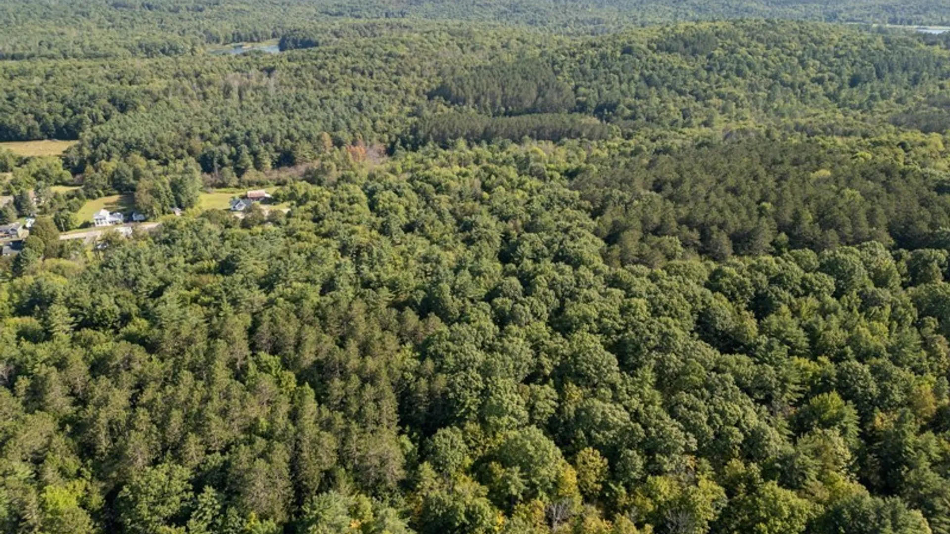 Property at 4601 State Highway 29, Johnstown, NY 12095 10