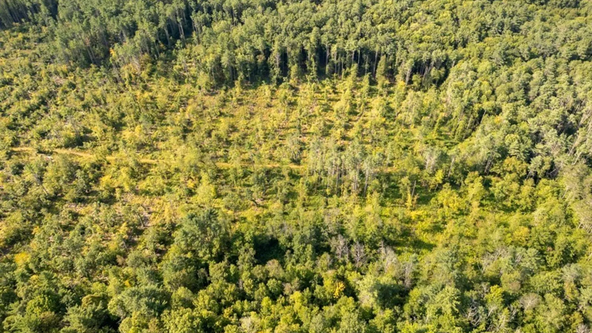 Property at 4601 State Highway 29, Johnstown, NY 12095 14