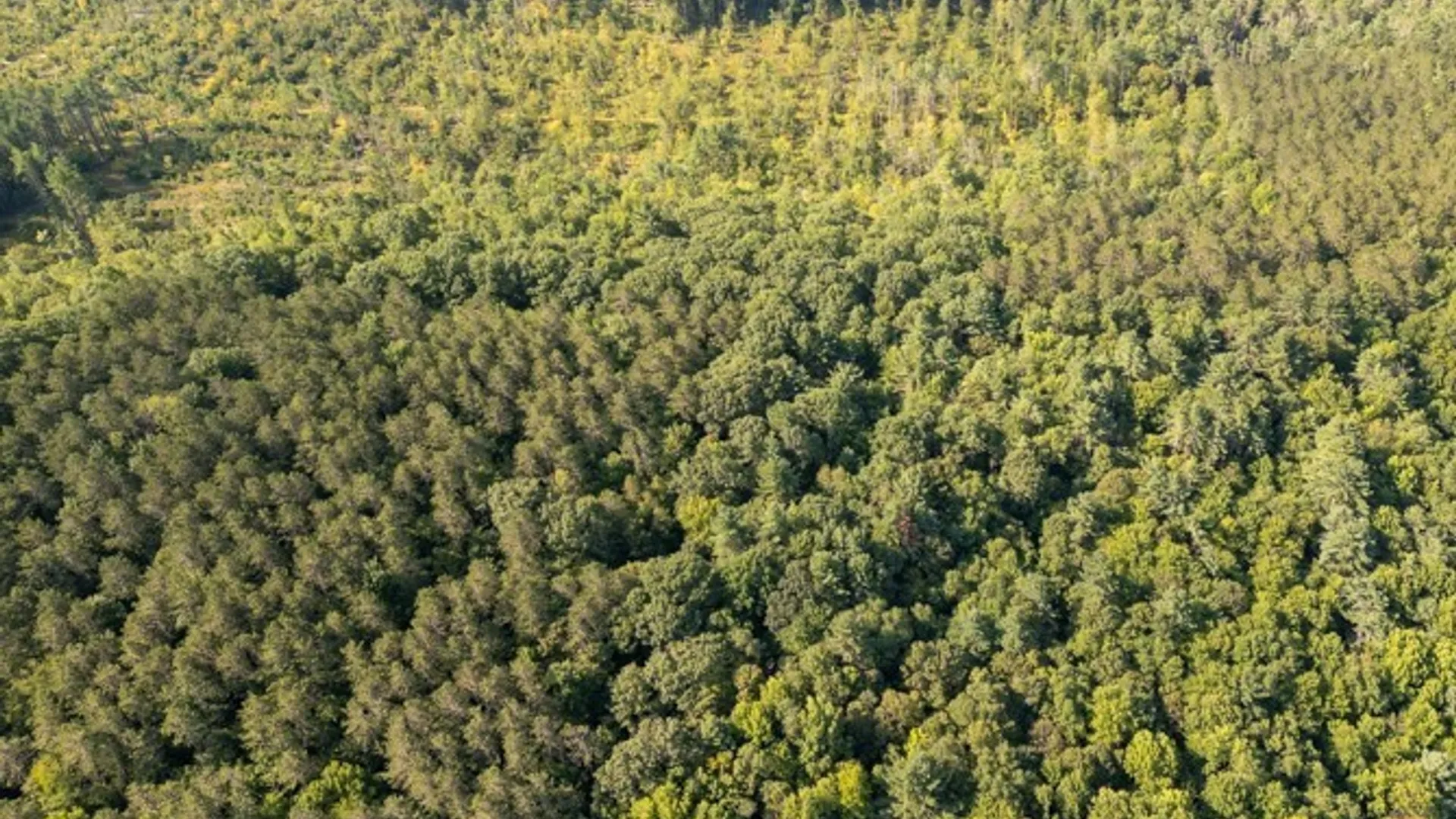 Property at 4601 State Highway 29, Johnstown, NY 12095 15