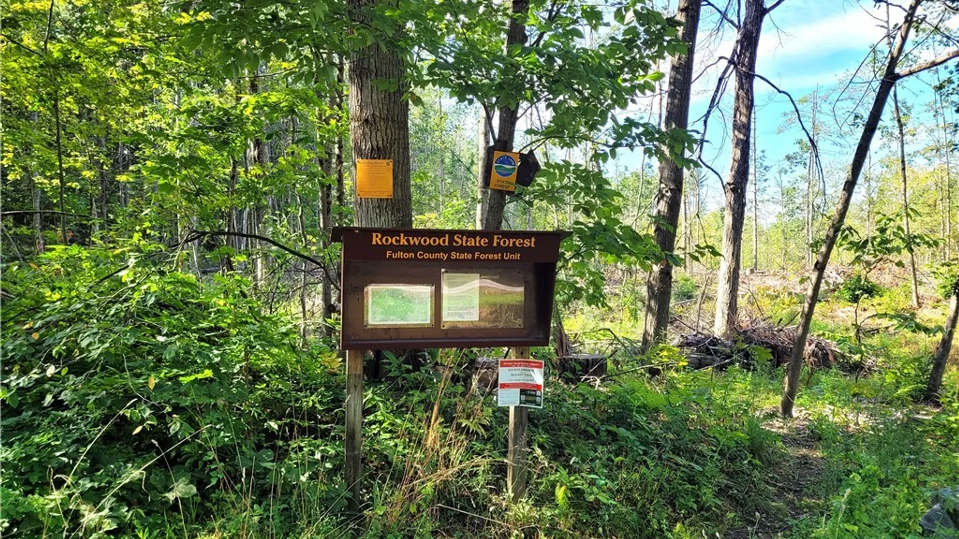 Property at 4601 State Highway 29, Johnstown, NY 12095 22