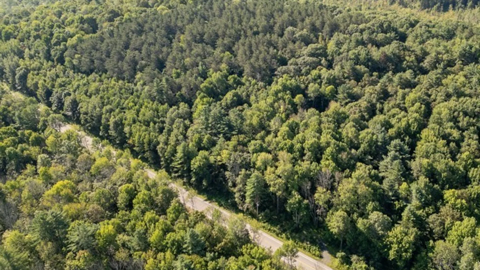 Property at 4601 State Highway 29, Johnstown, NY 12095 7