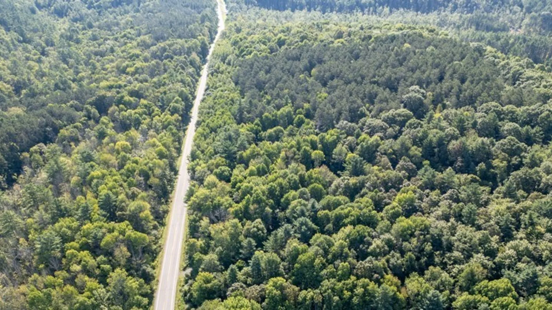 Property at 4601 State Highway 29, Johnstown, NY 12095 8