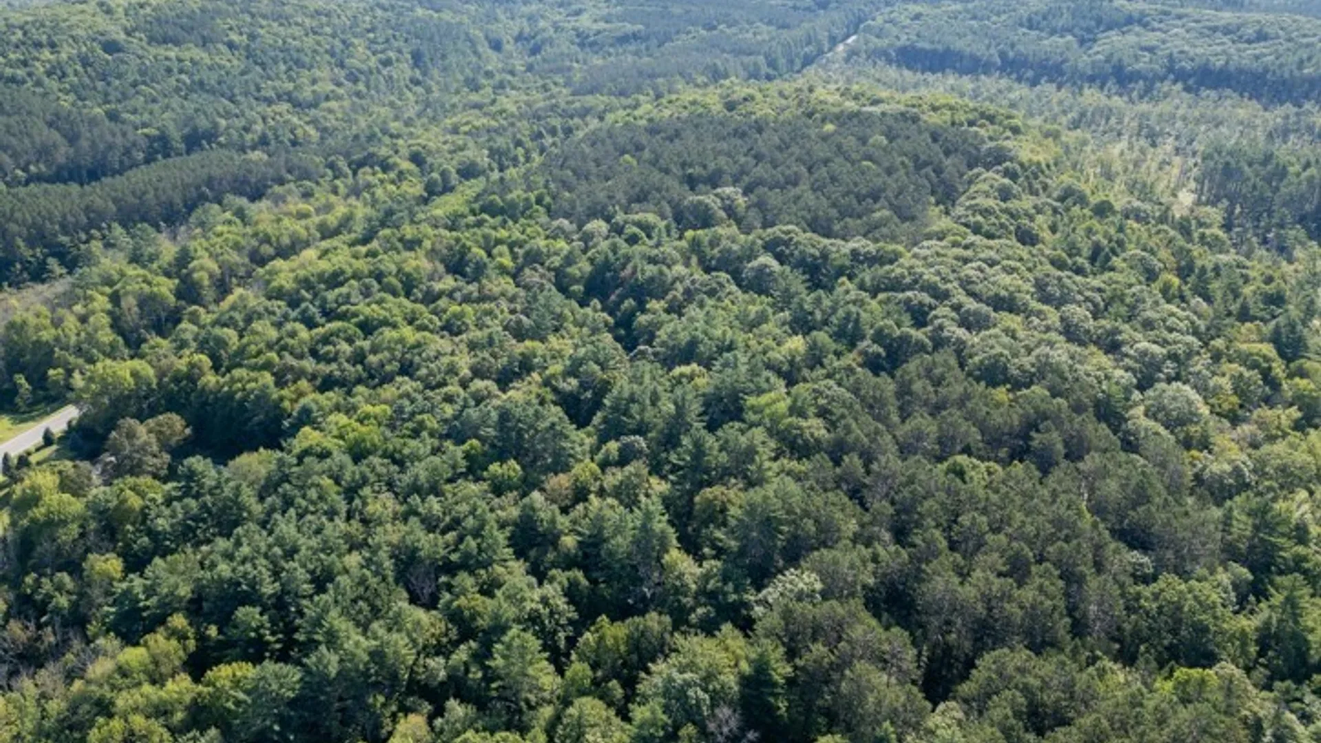 Property at 4601 State Highway 29, Johnstown, NY 12095 9